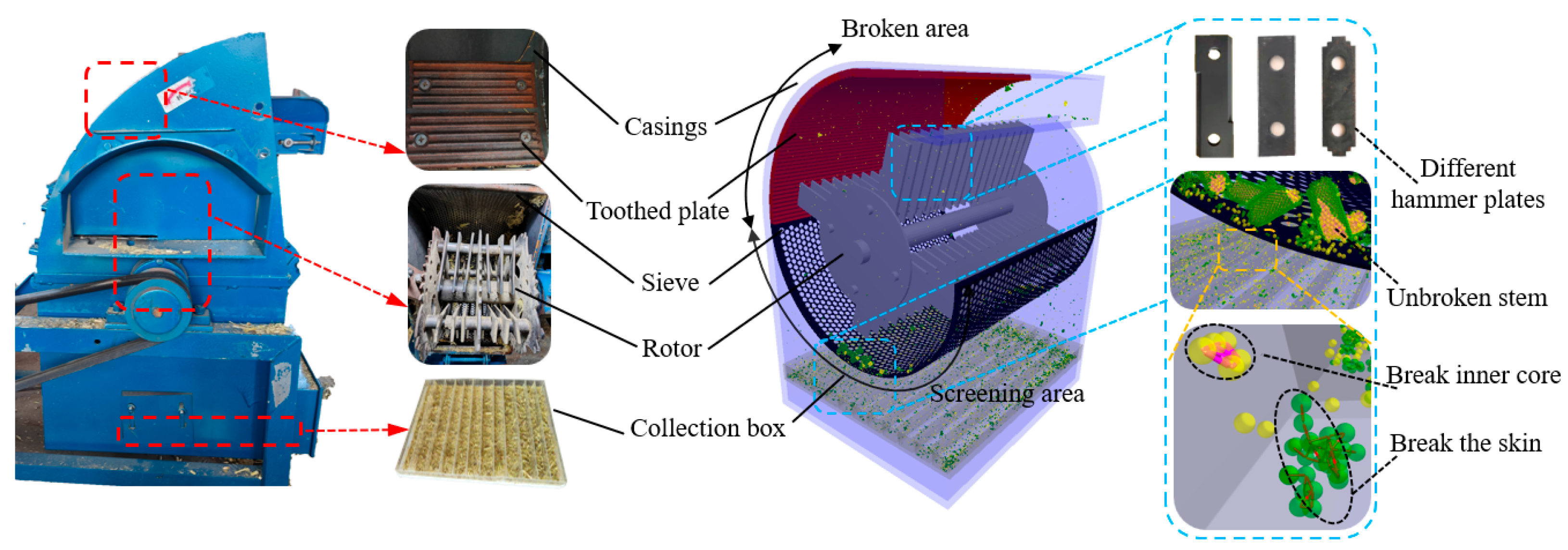 Agriculture 15 01449 g006