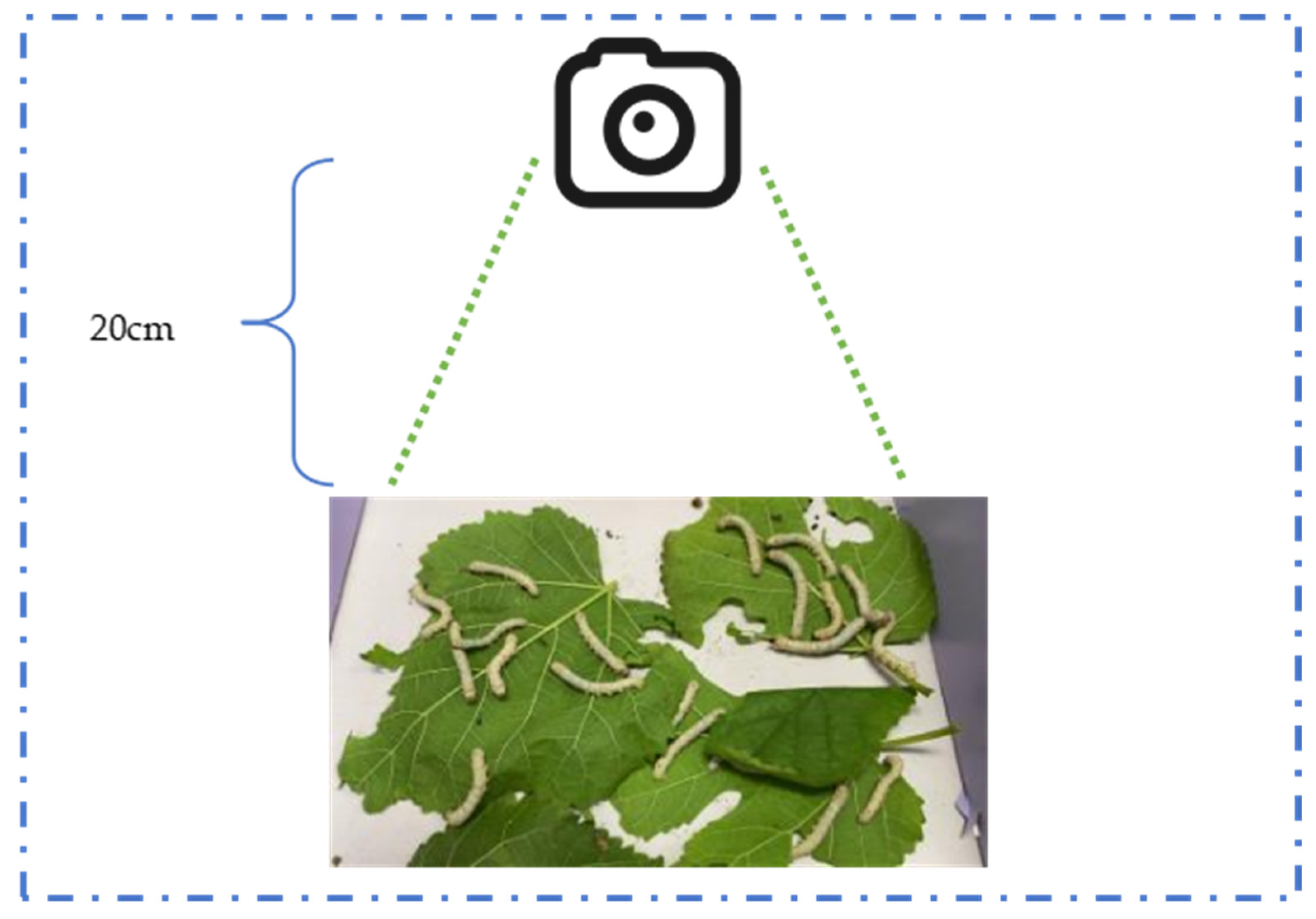 Agriculture 15 01450 g005