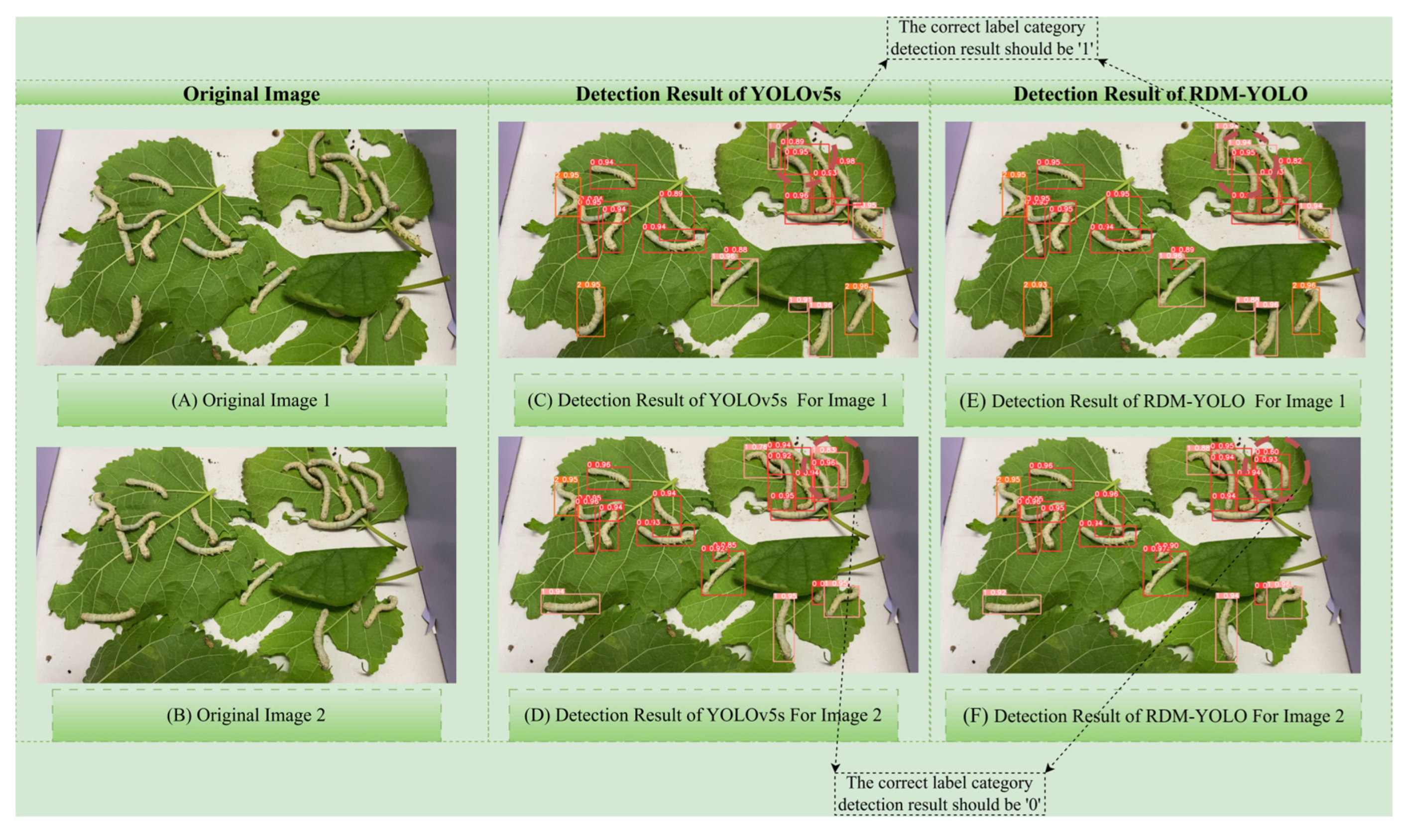 Agriculture 15 01450 g009