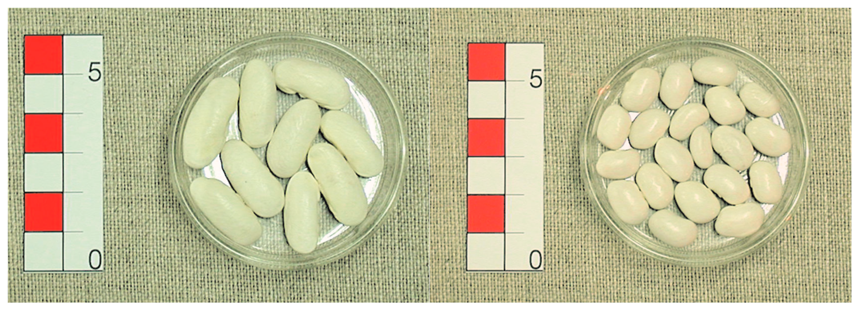 Agriculture 15 01452 g001