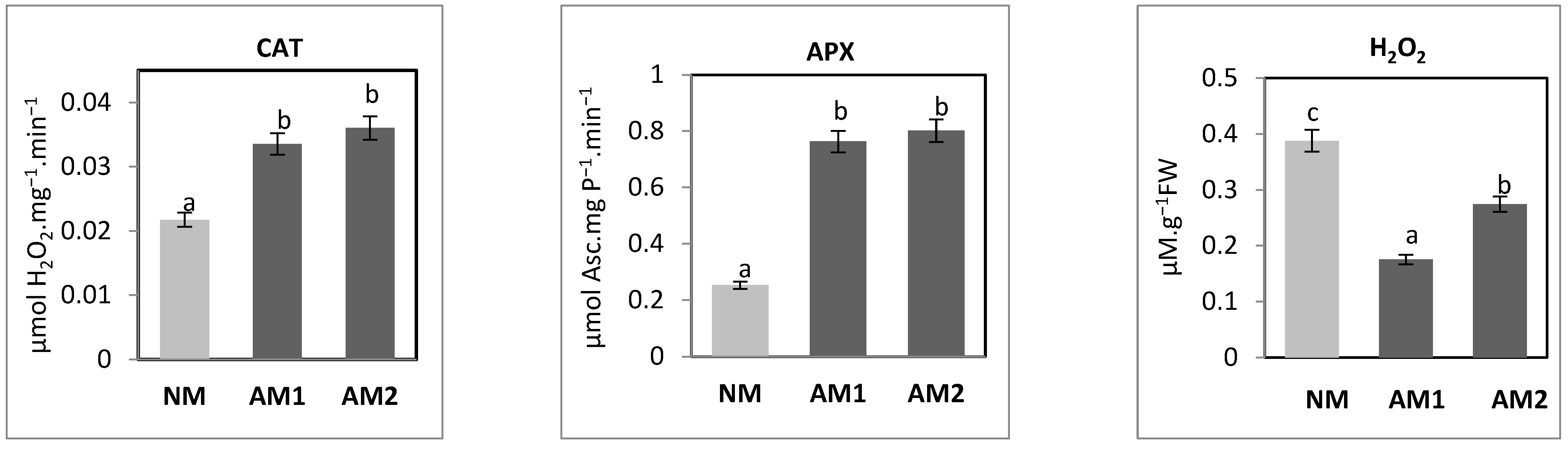 Agriculture 15 01458 g009 Agriculture 15 01458 g009