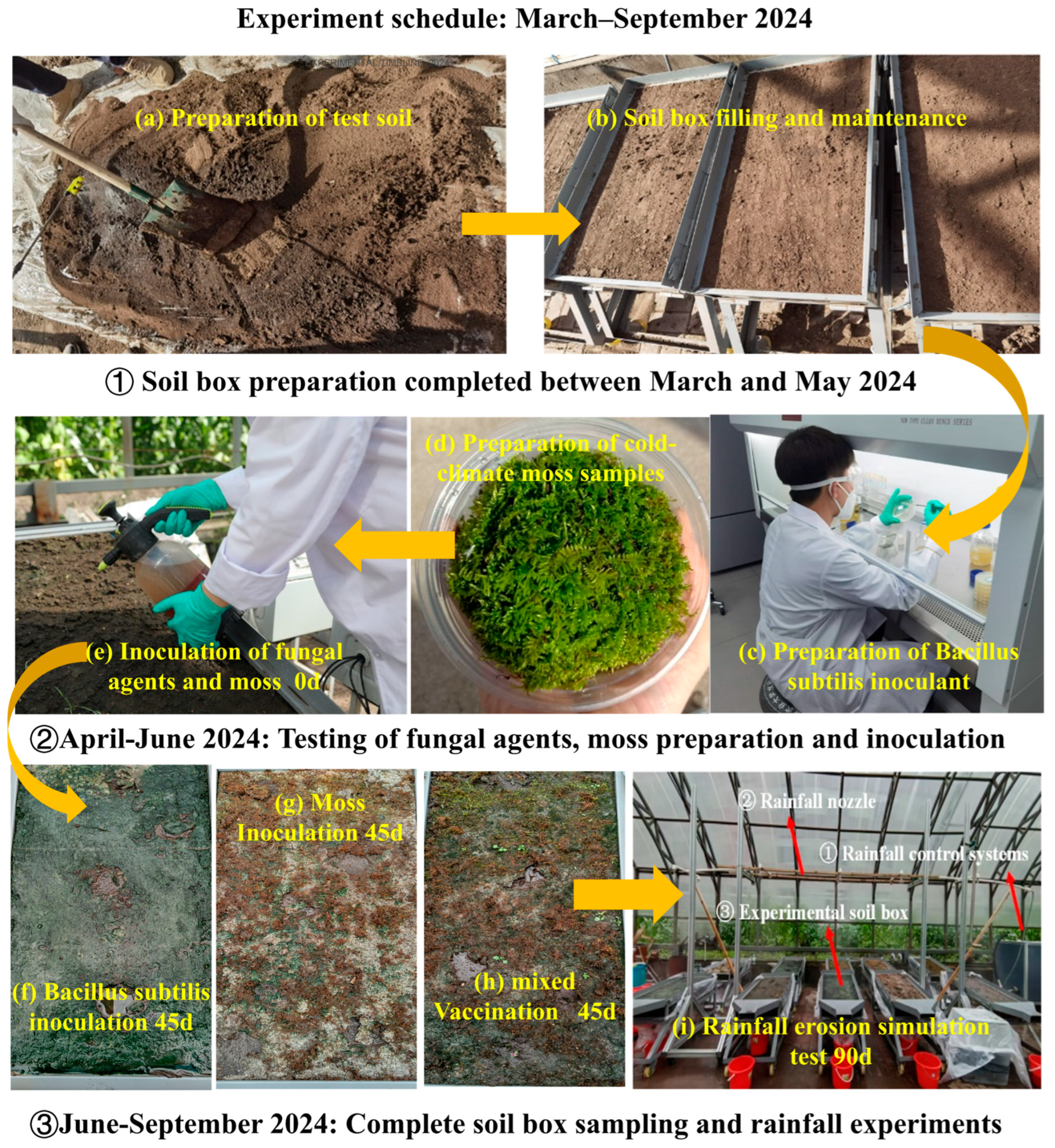 Agriculture 15 01465 g001