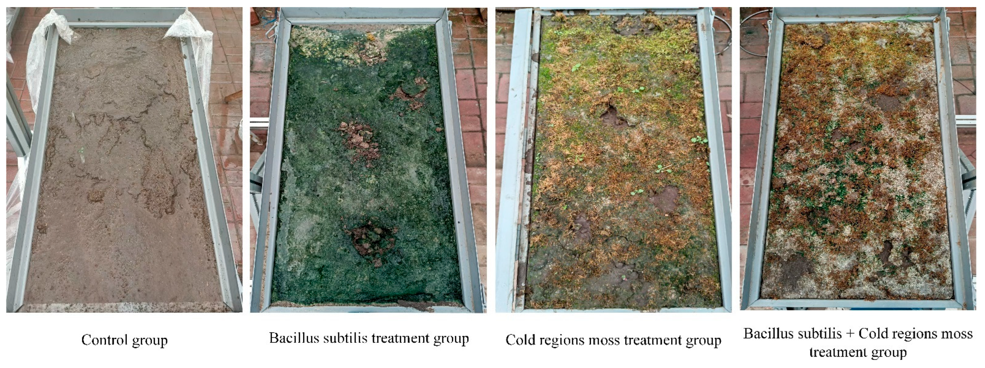 Agriculture 15 01465 g009