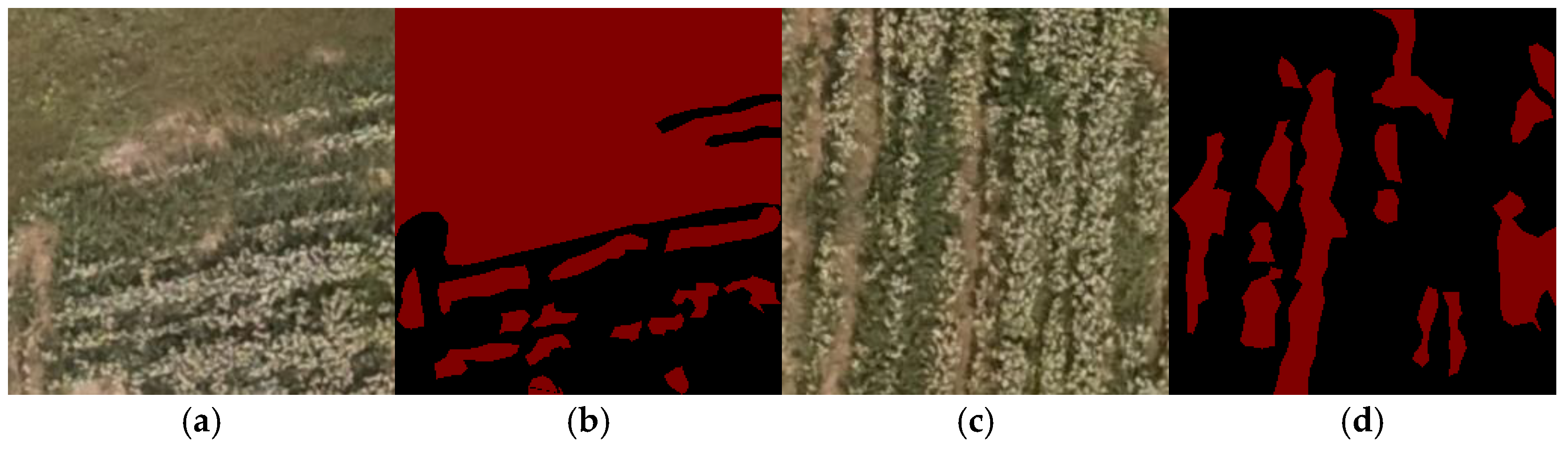 Agriculture 15 01471 g004