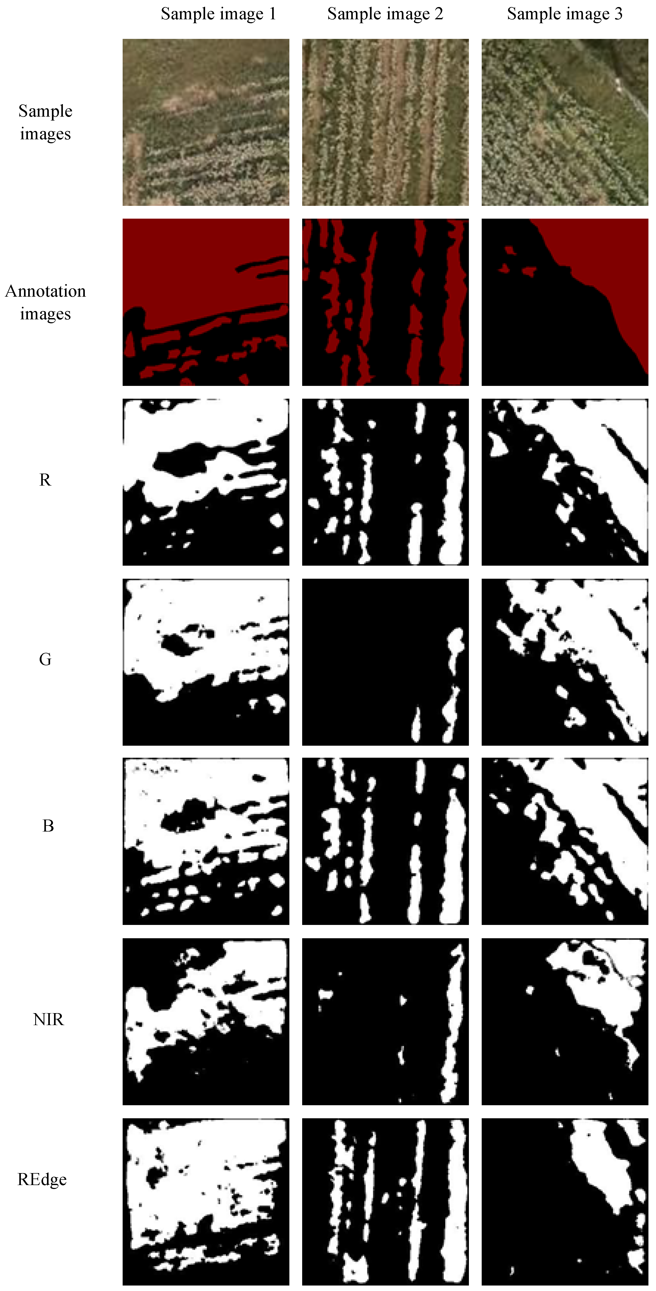 Agriculture 15 01471 g008
