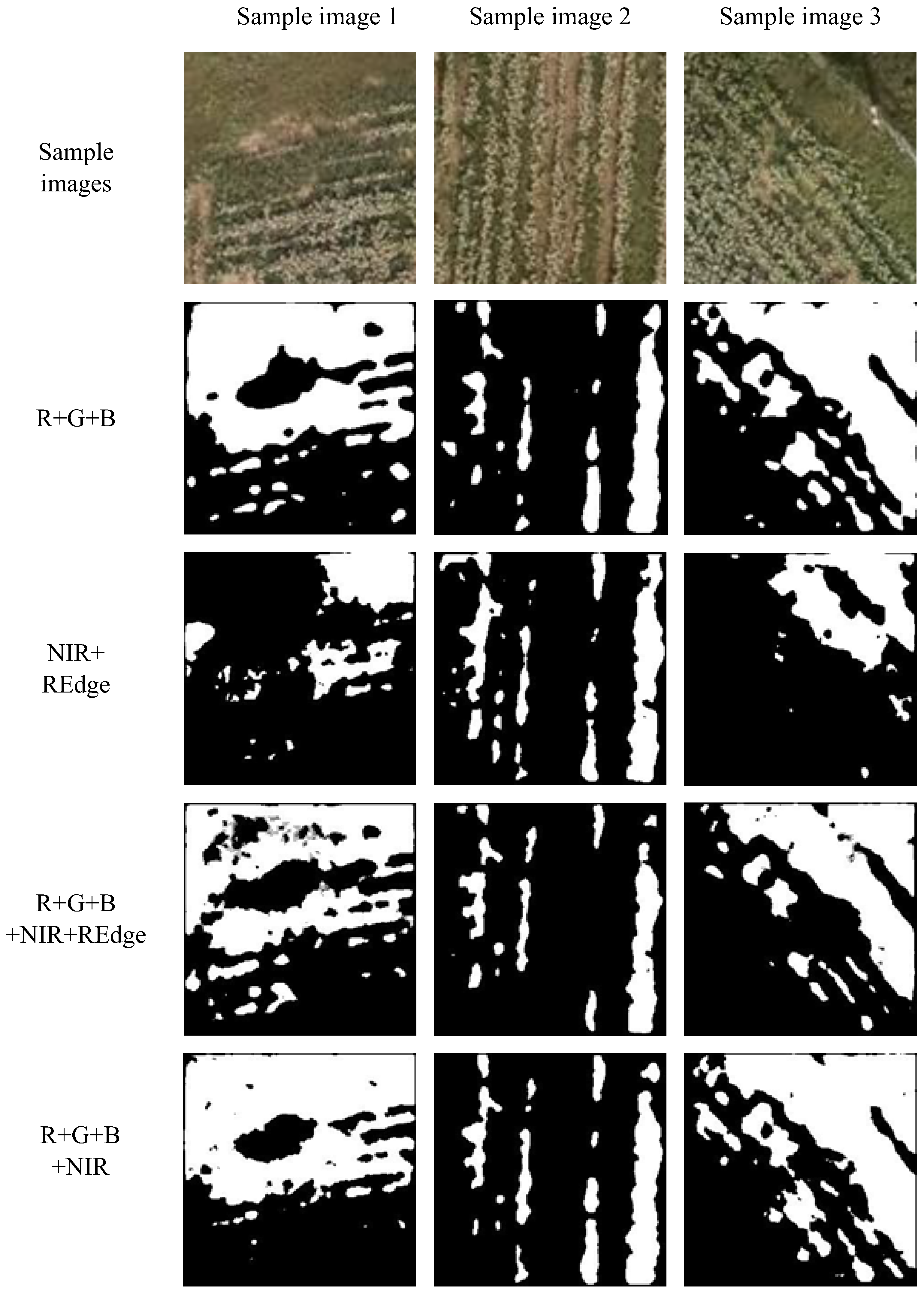Agriculture 15 01471 g009