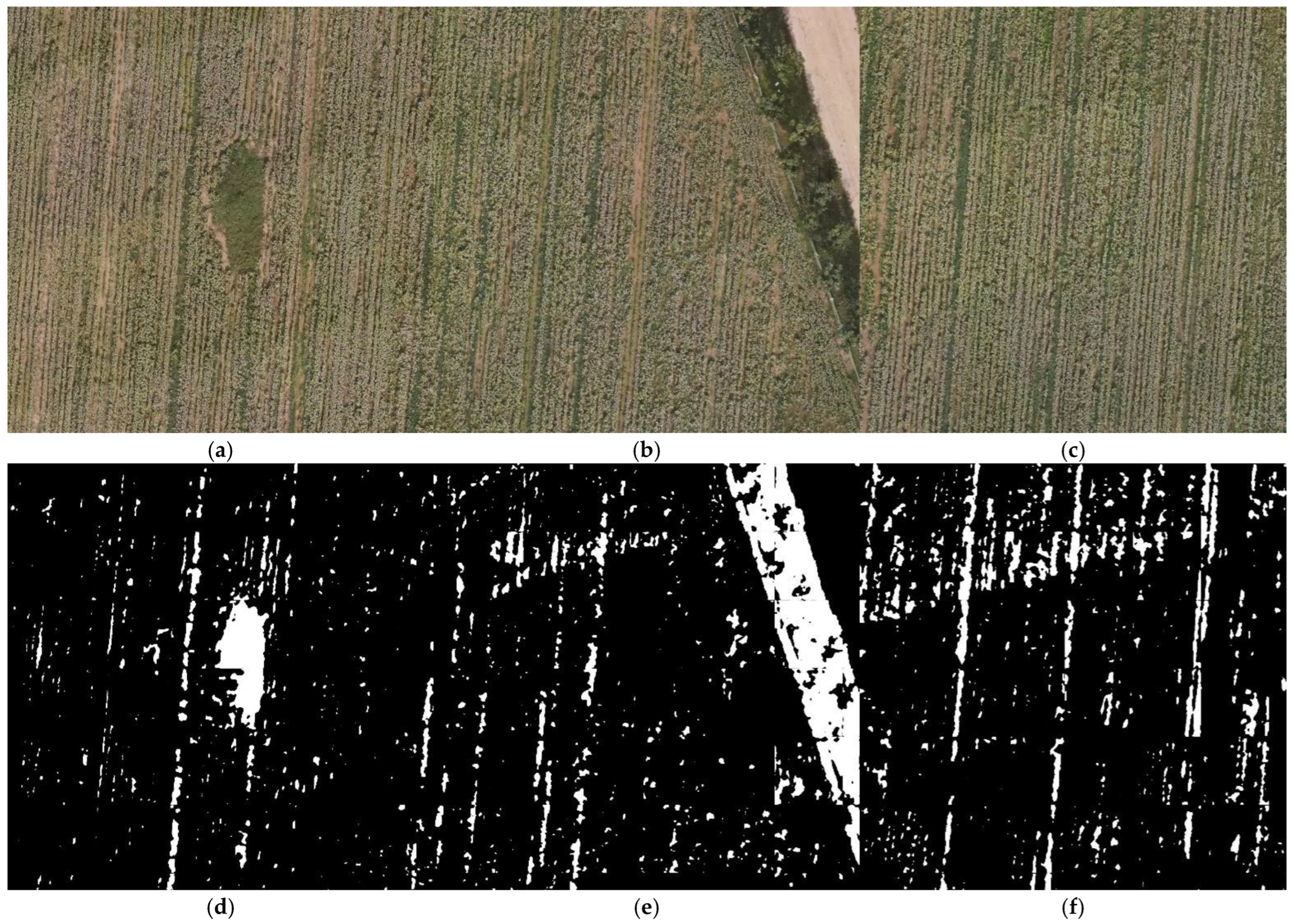 Agriculture 15 01471 g011