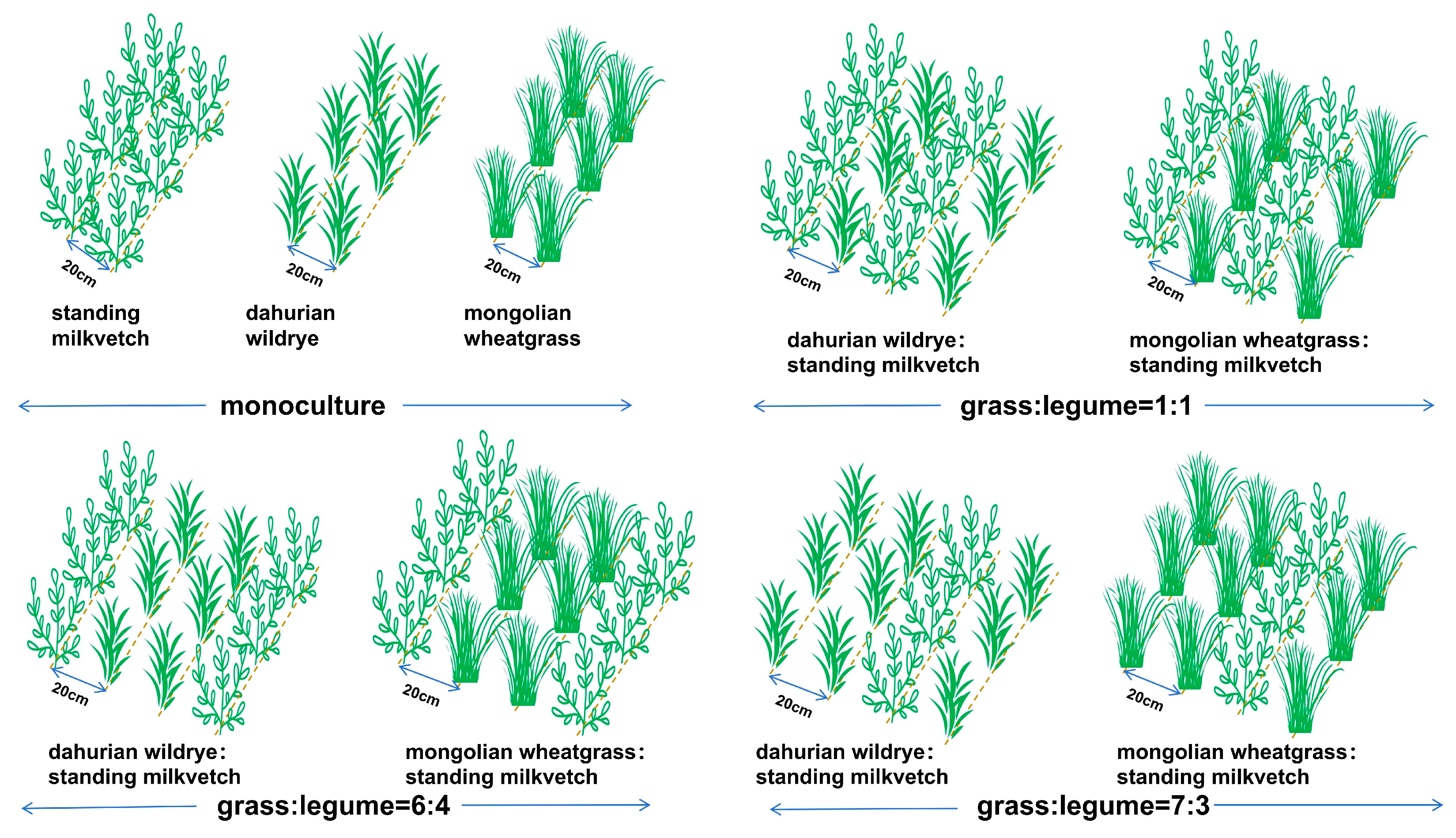 Agriculture 15 01474 g002