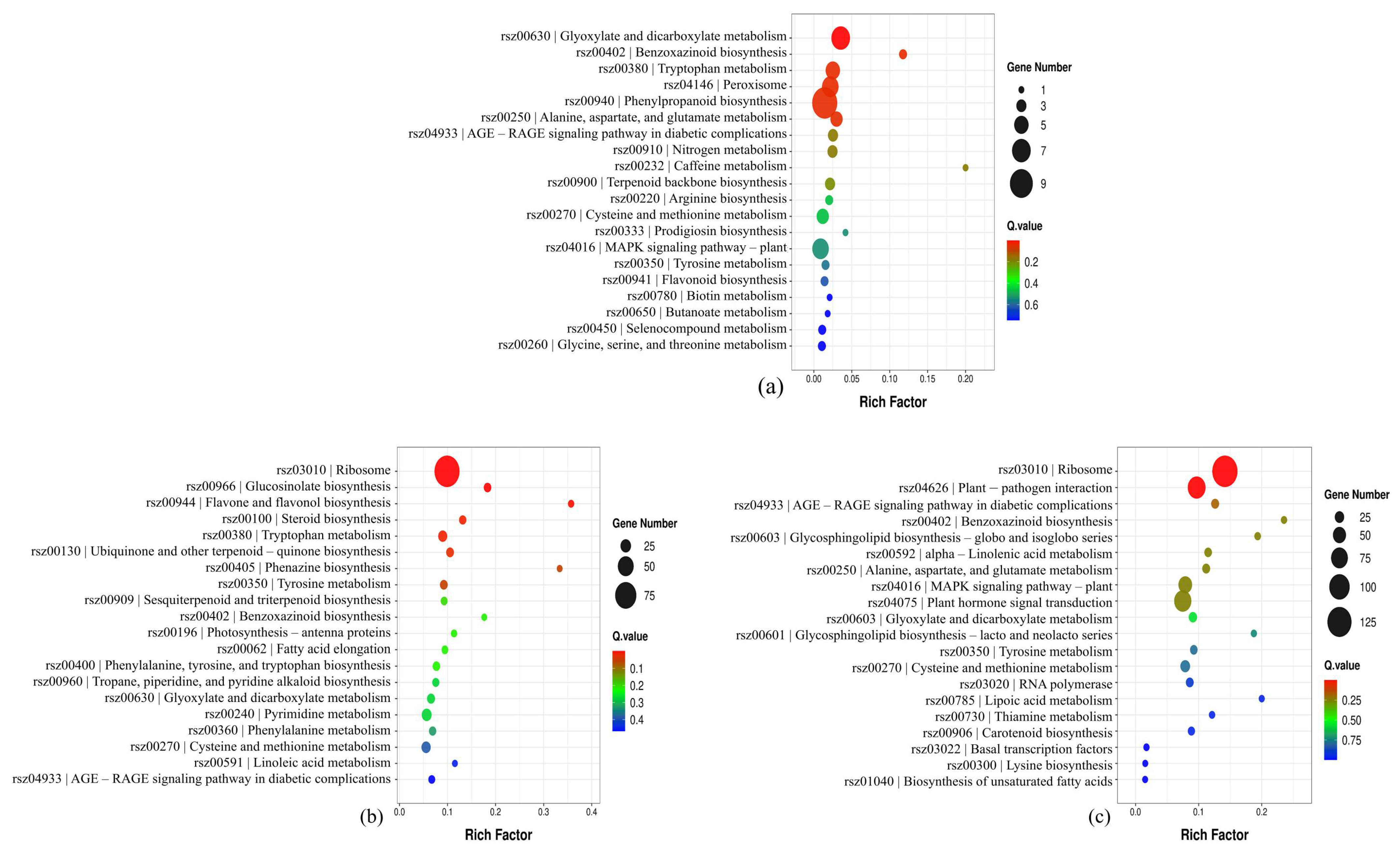Agriculture 15 01478 g004