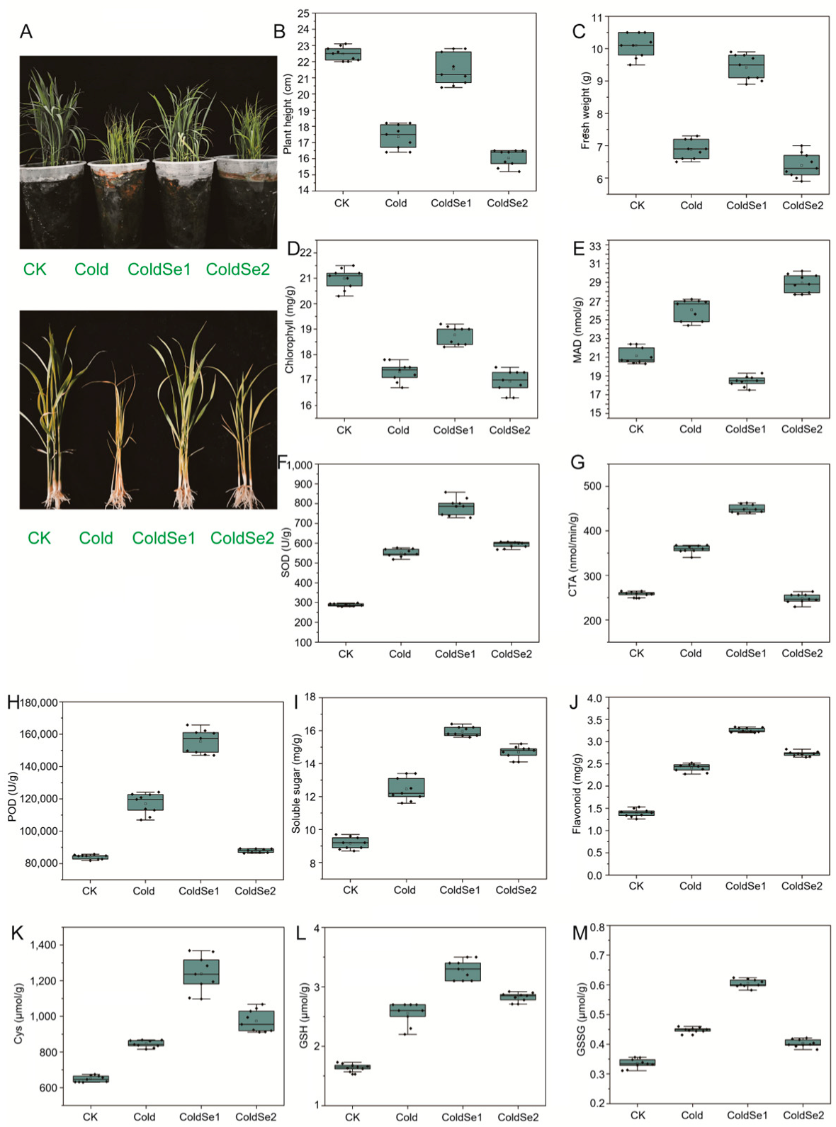 Agriculture 15 01489 g001