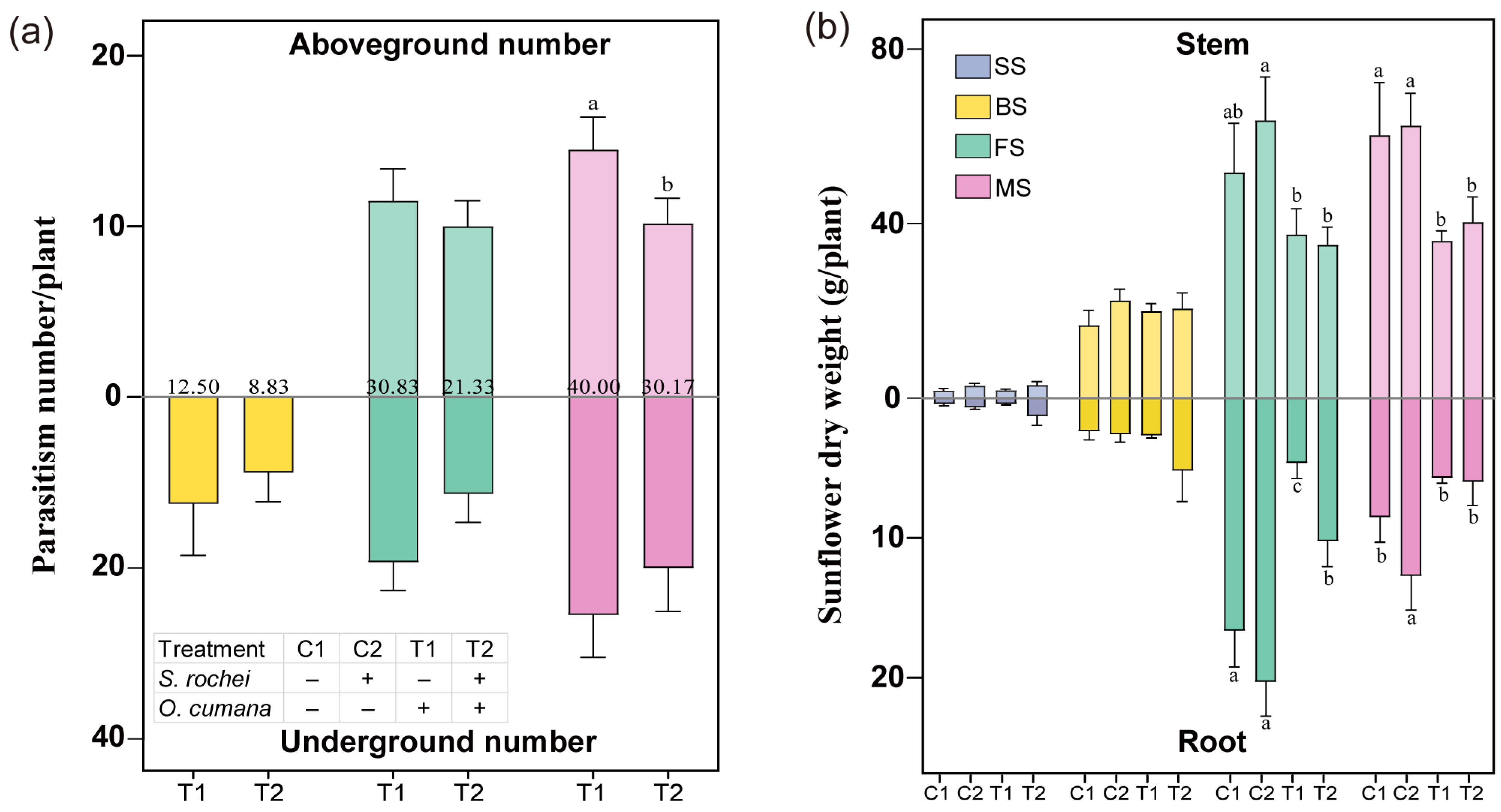 Agriculture 15 01492 g002