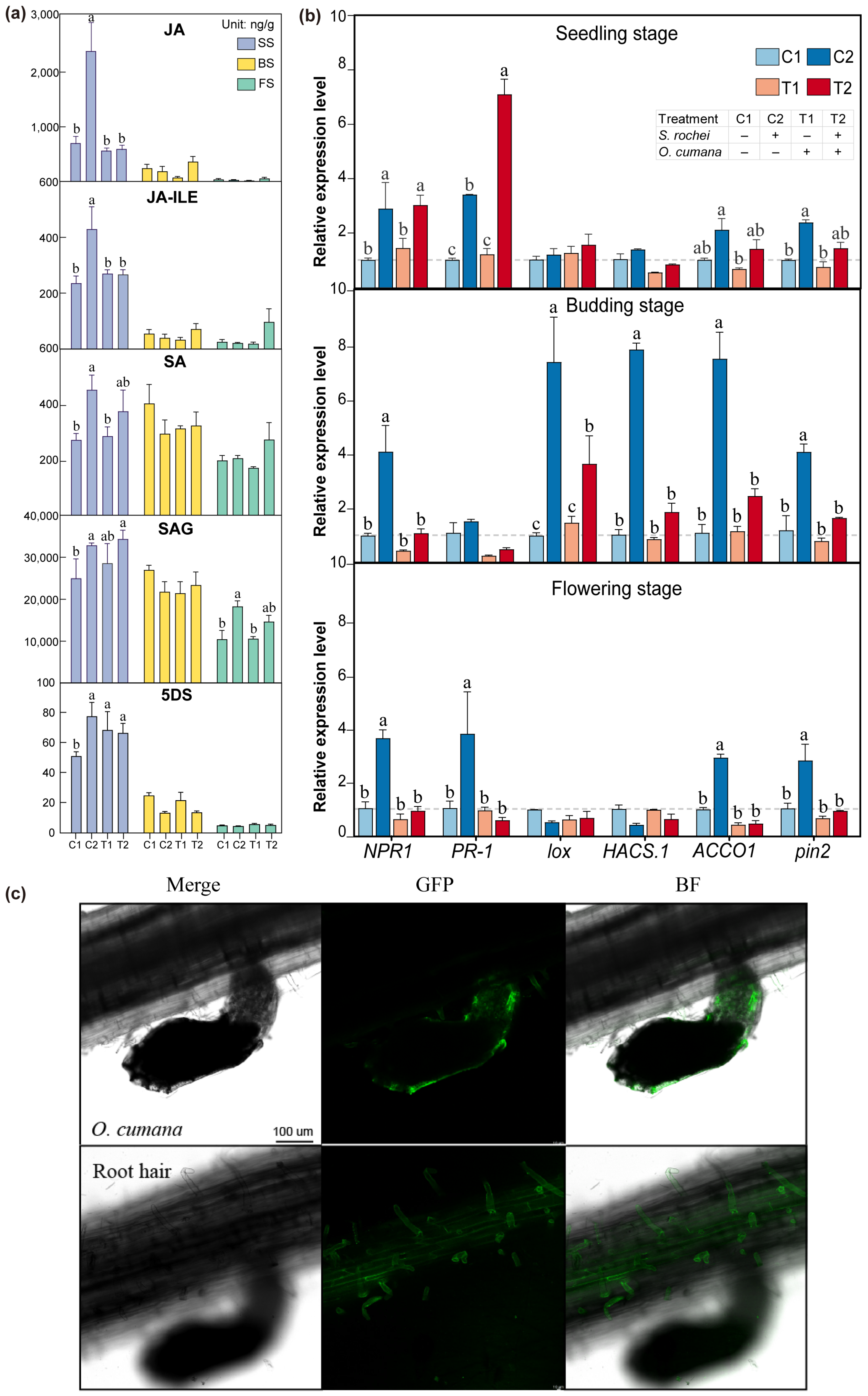 Agriculture 15 01492 g005