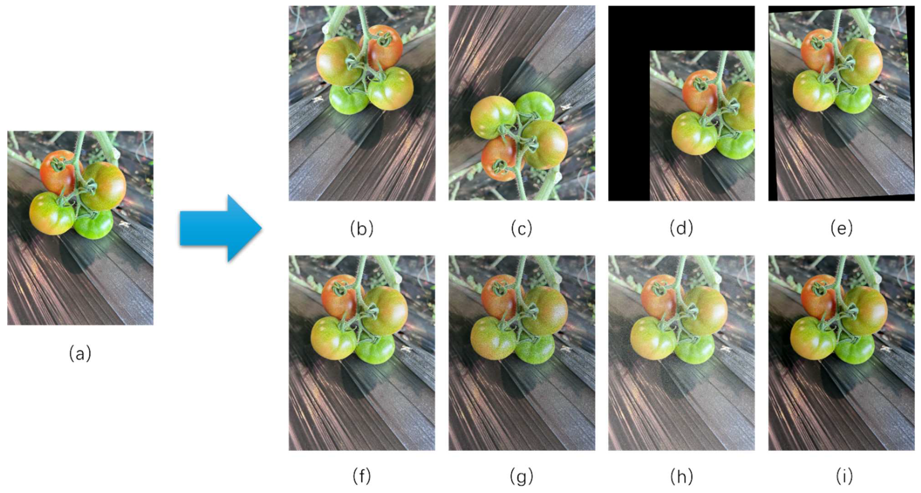 Agriculture 15 01497 g002