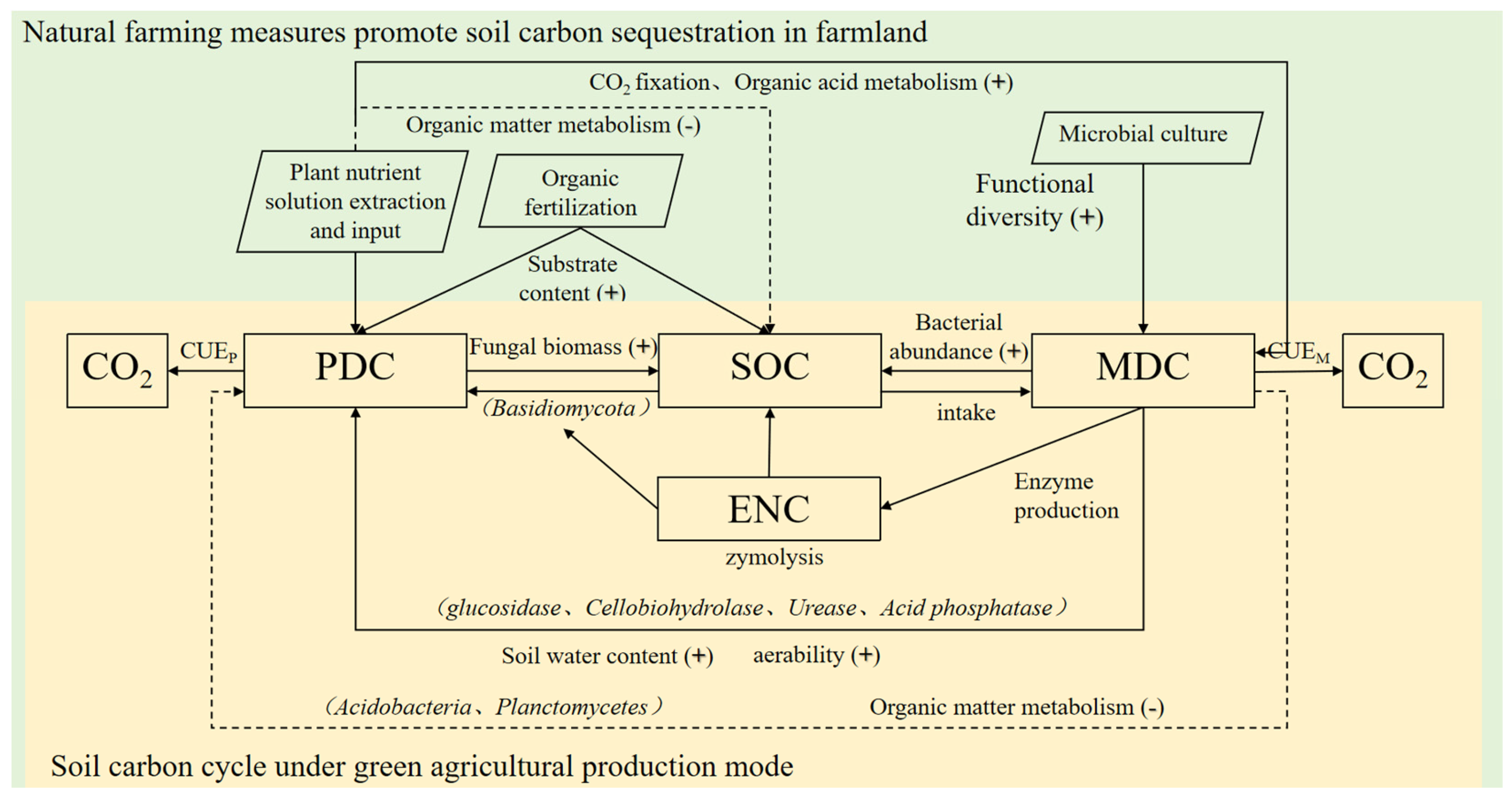 Agriculture 15 01499 g014