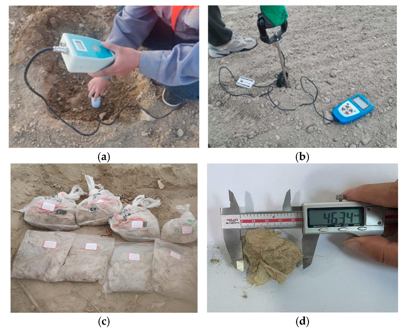 Agriculture 15 01501 g008