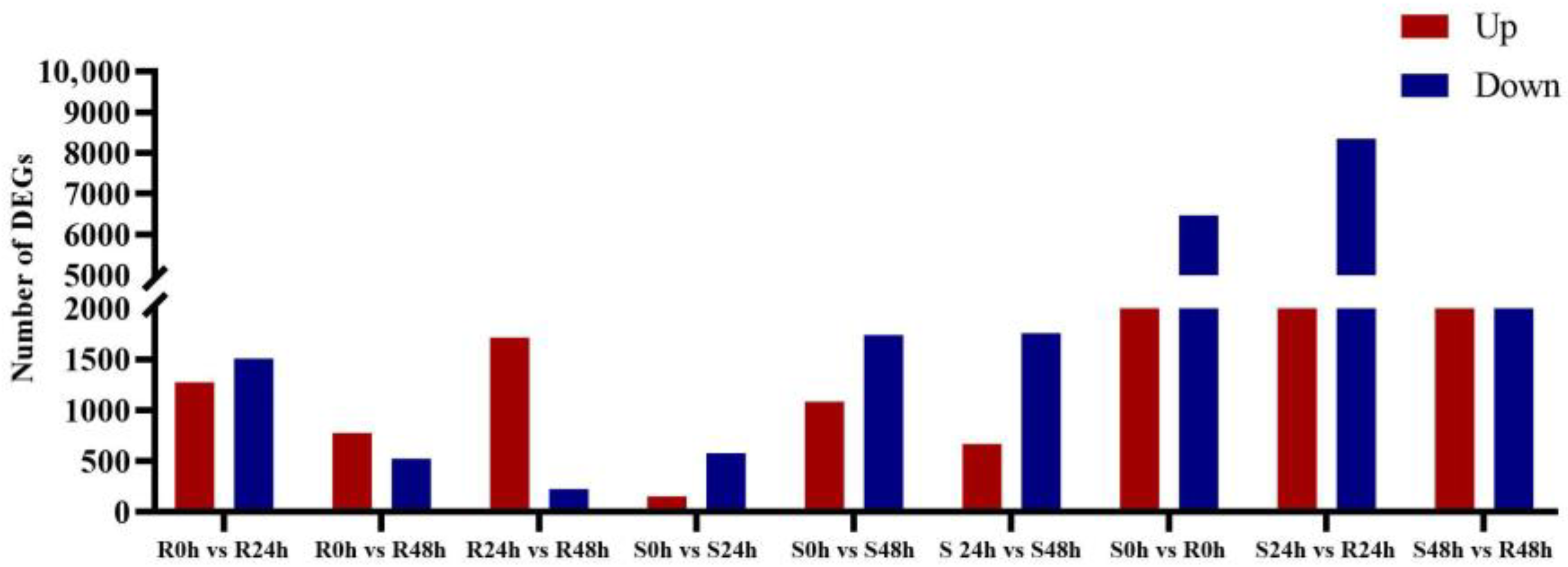 Agriculture 15 01502 g003