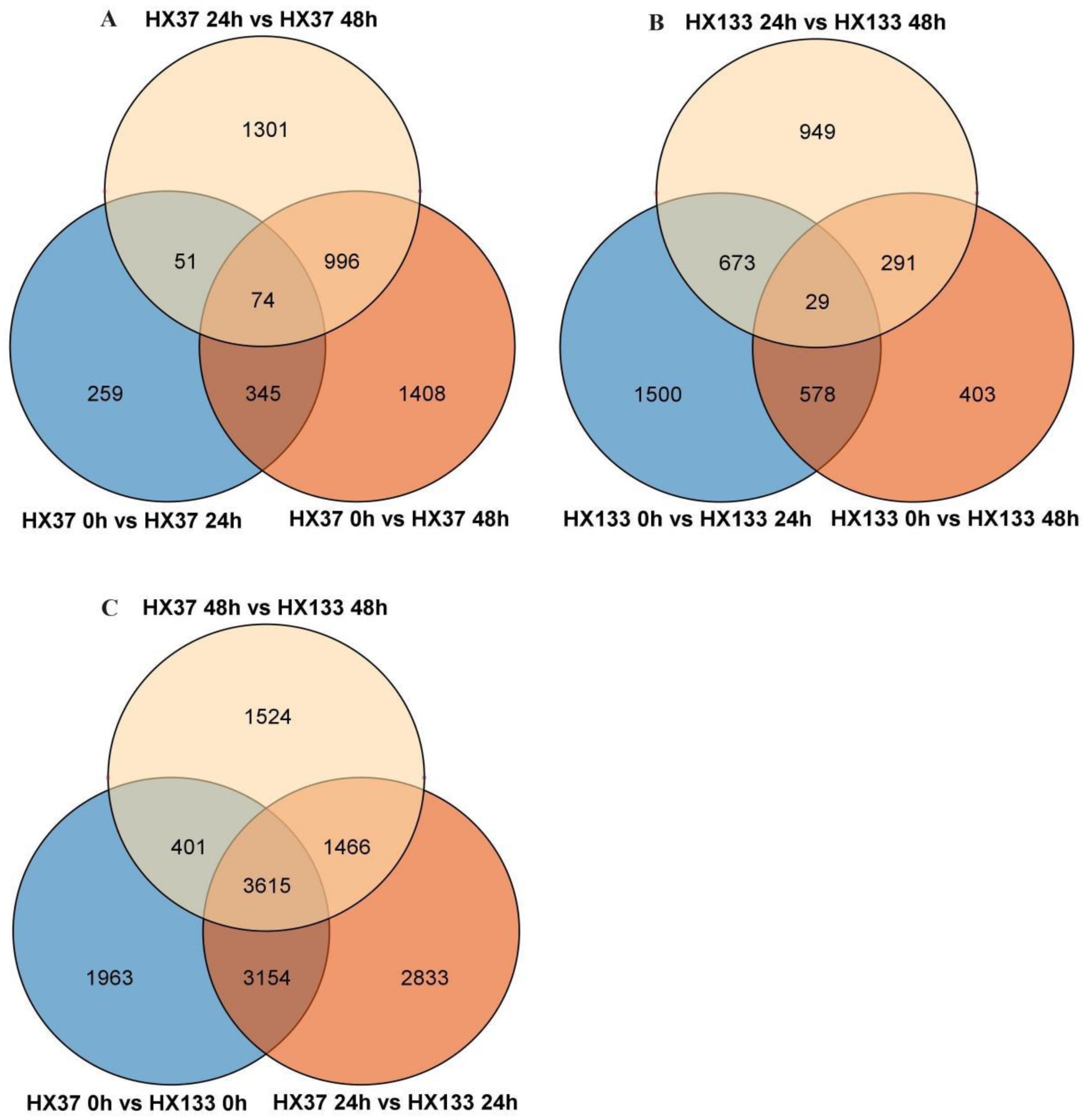 Agriculture 15 01502 g004