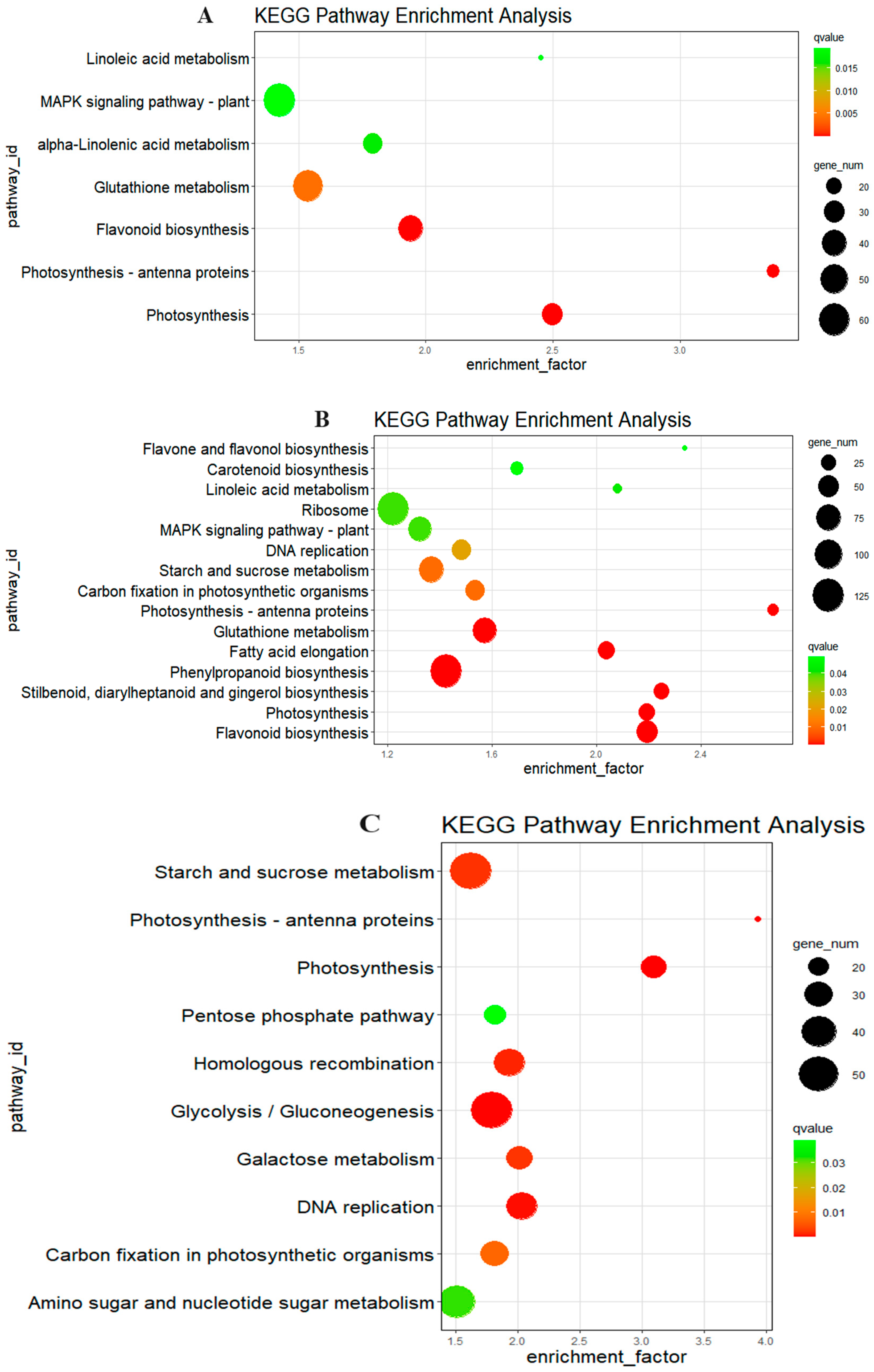 Agriculture 15 01502 g006