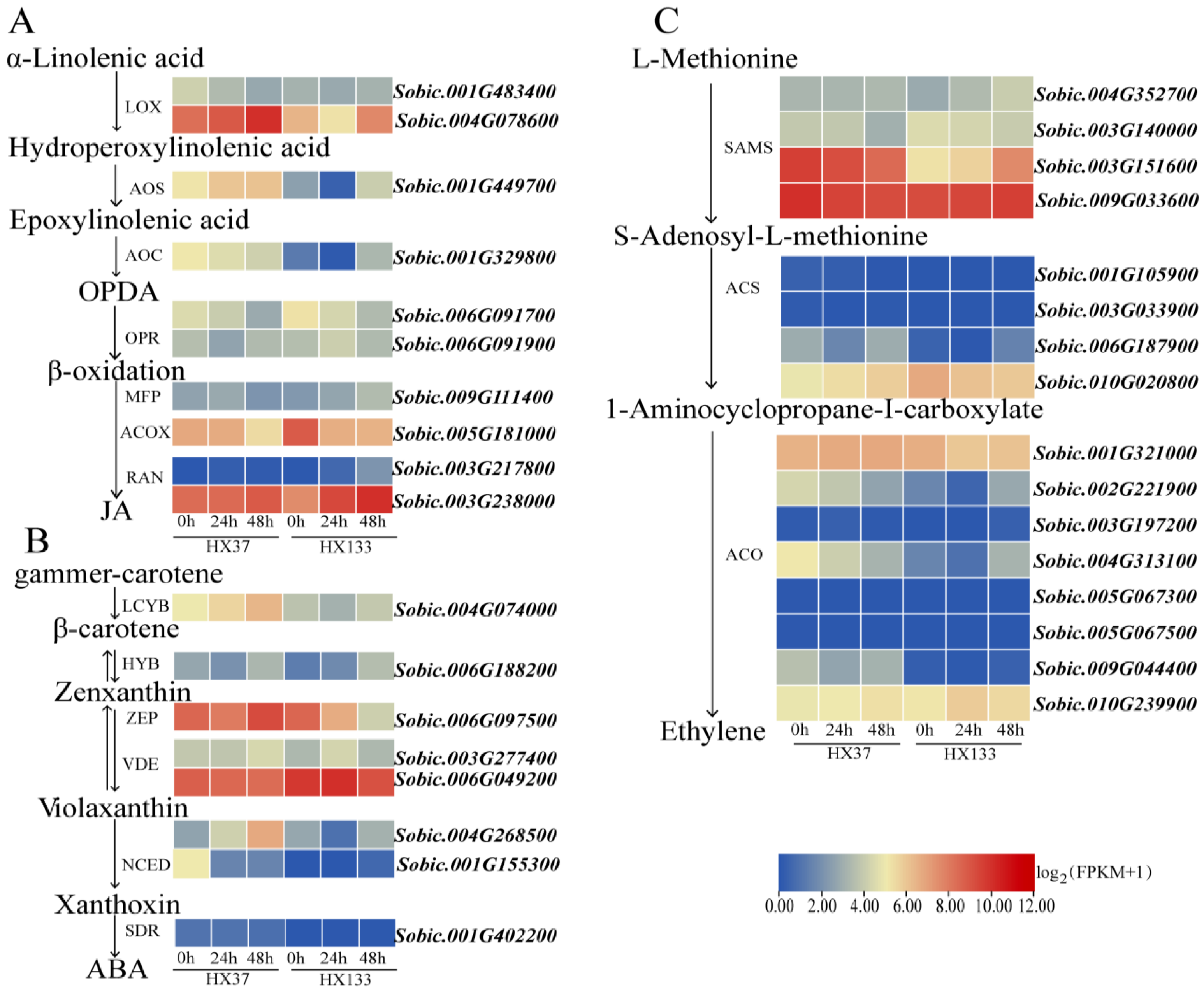 Agriculture 15 01502 g007