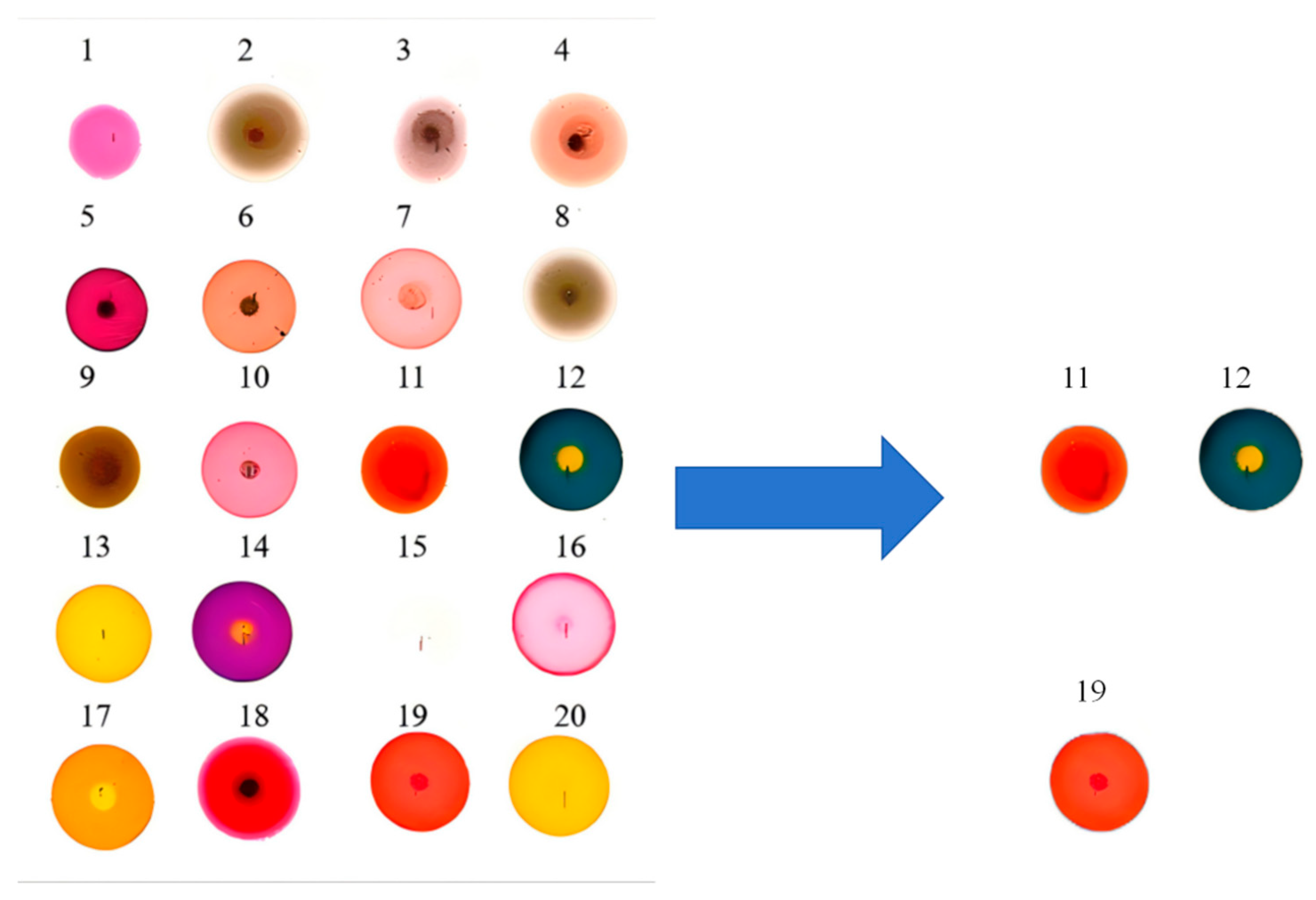 Agriculture 15 01507 g004