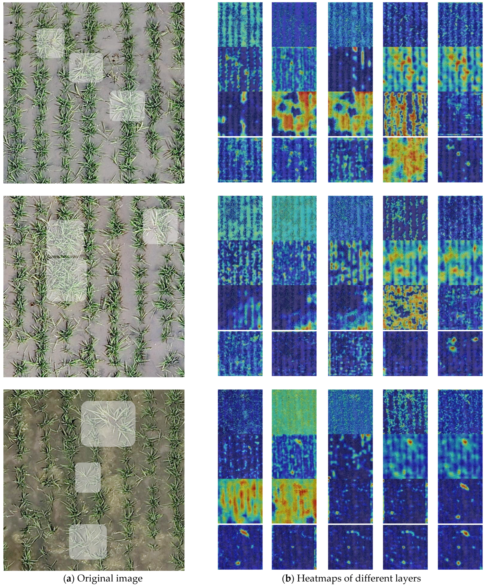 Agriculture 15 01510 g011