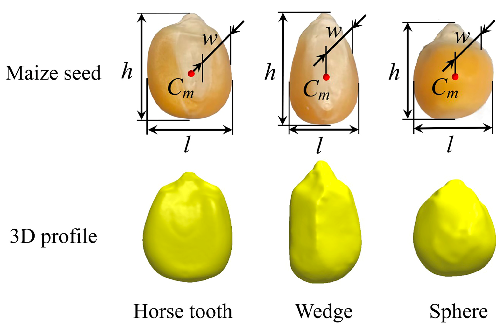 Agriculture 15 01517 g005