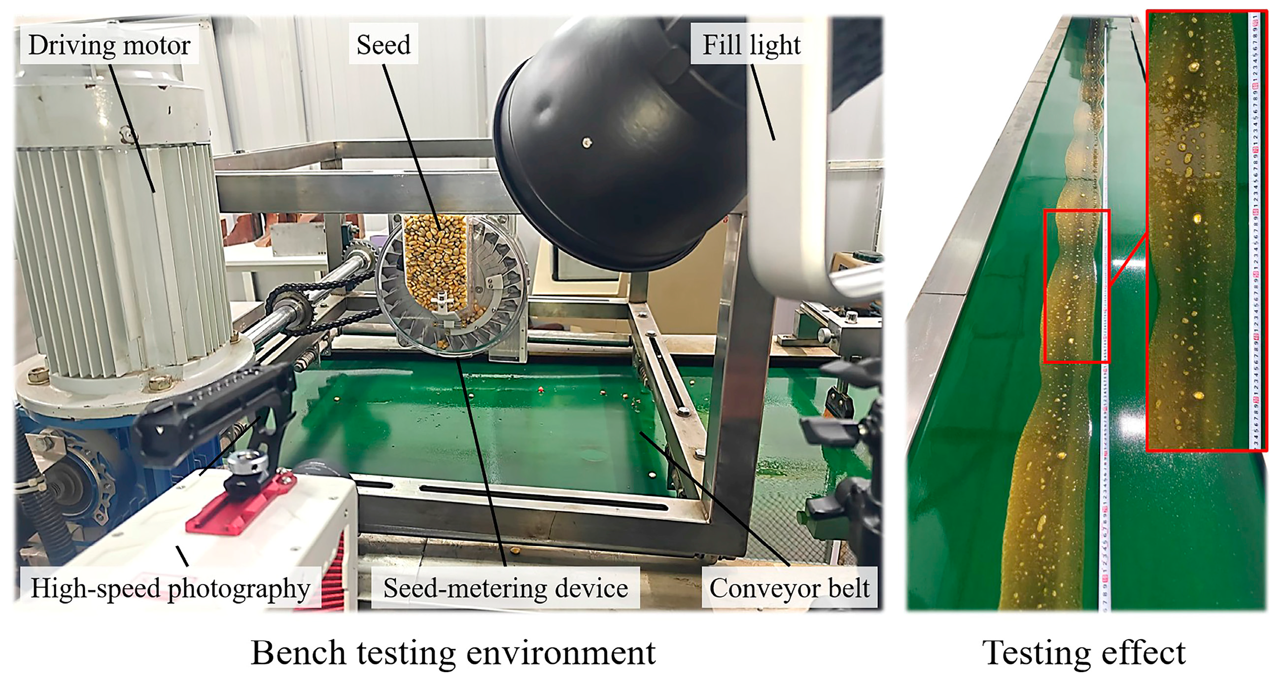 Agriculture 15 01517 g010