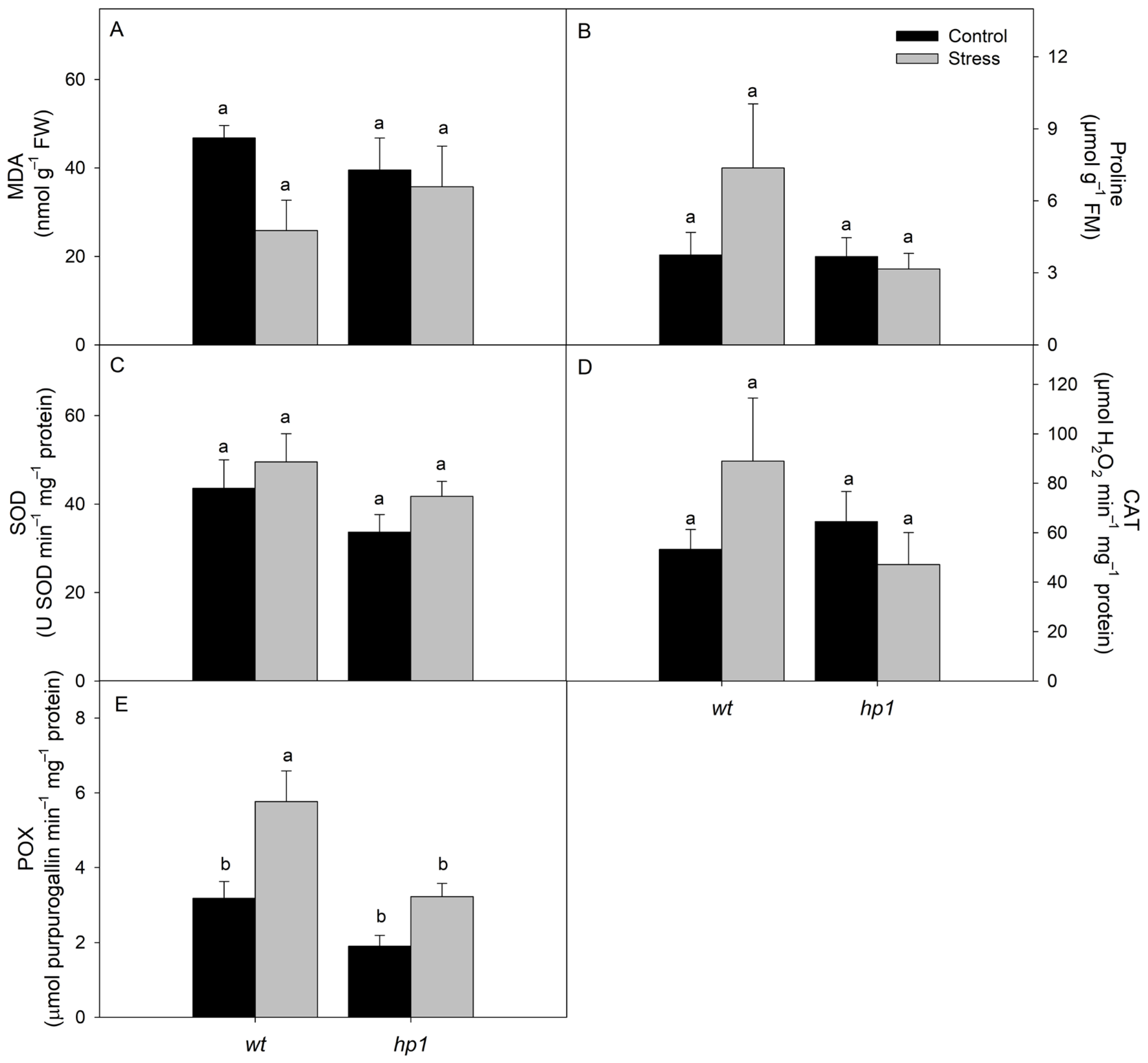 Agriculture 15 01518 g004