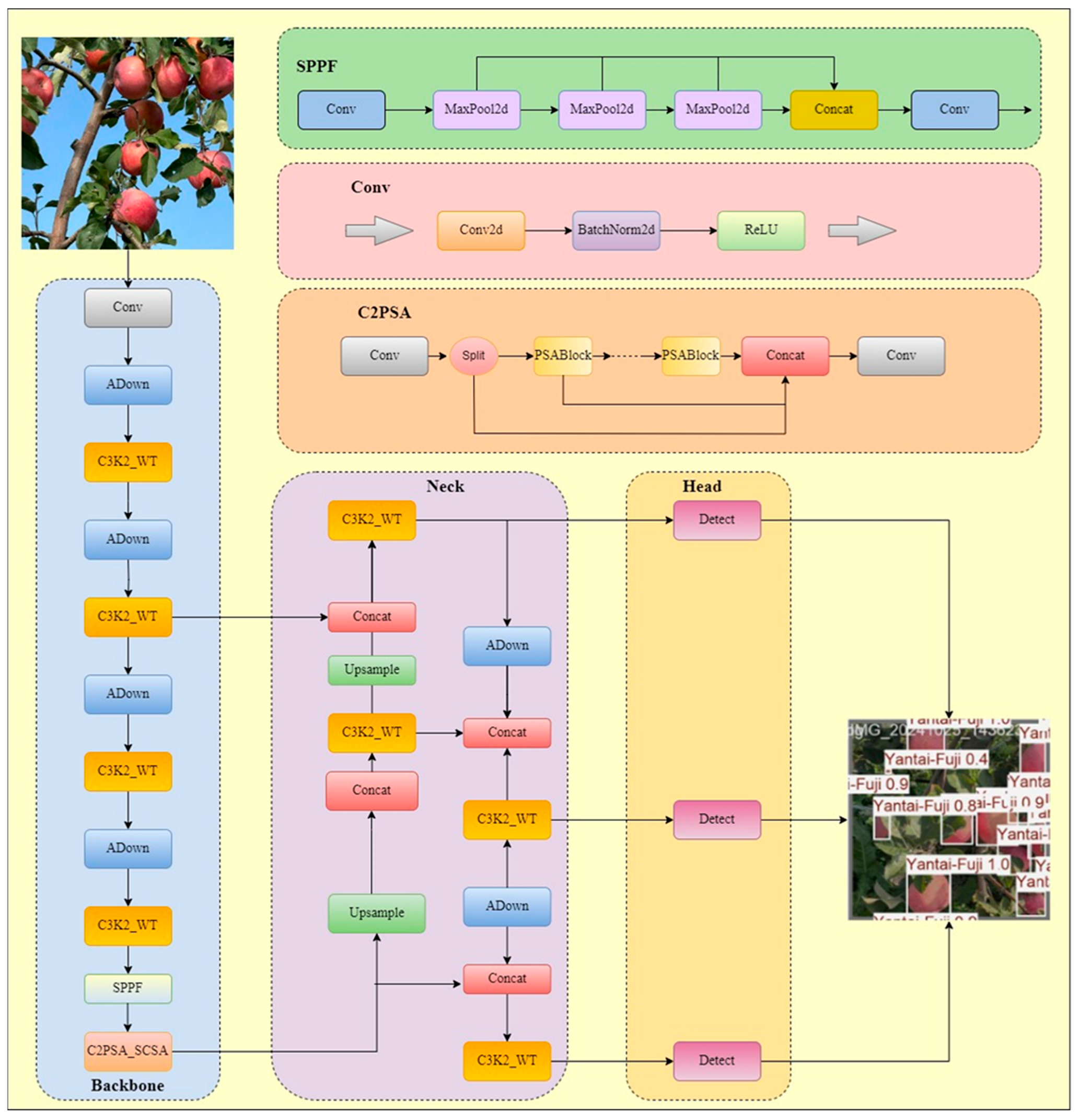 Agriculture 15 01521 g003