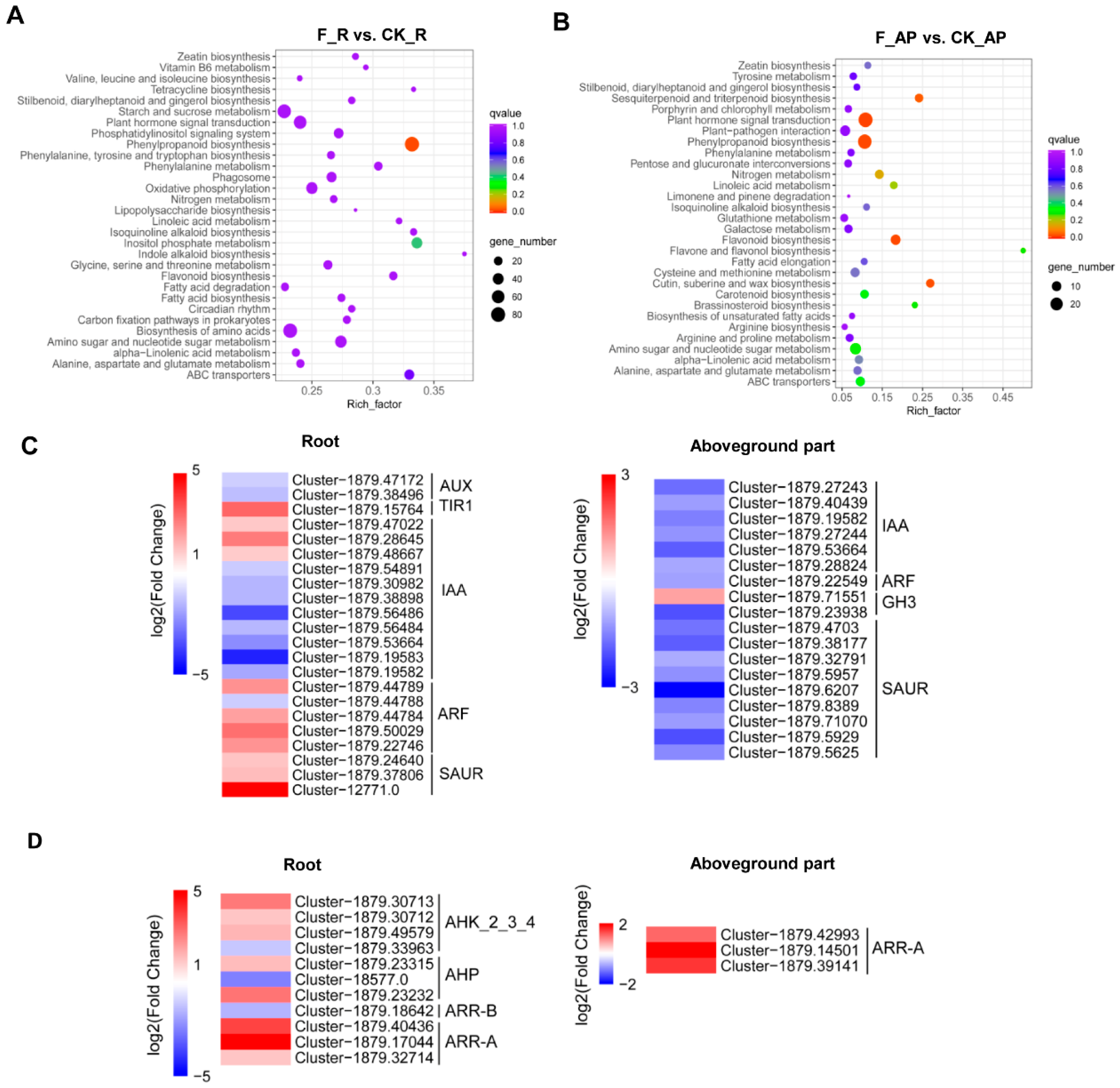 Agriculture 15 01522 g002