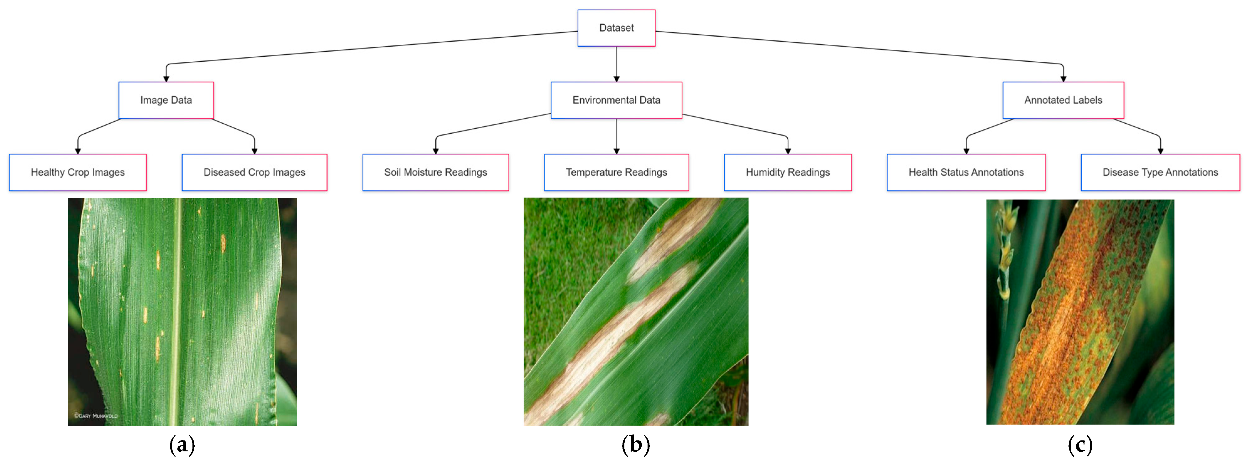Agriculture 15 01523 g001