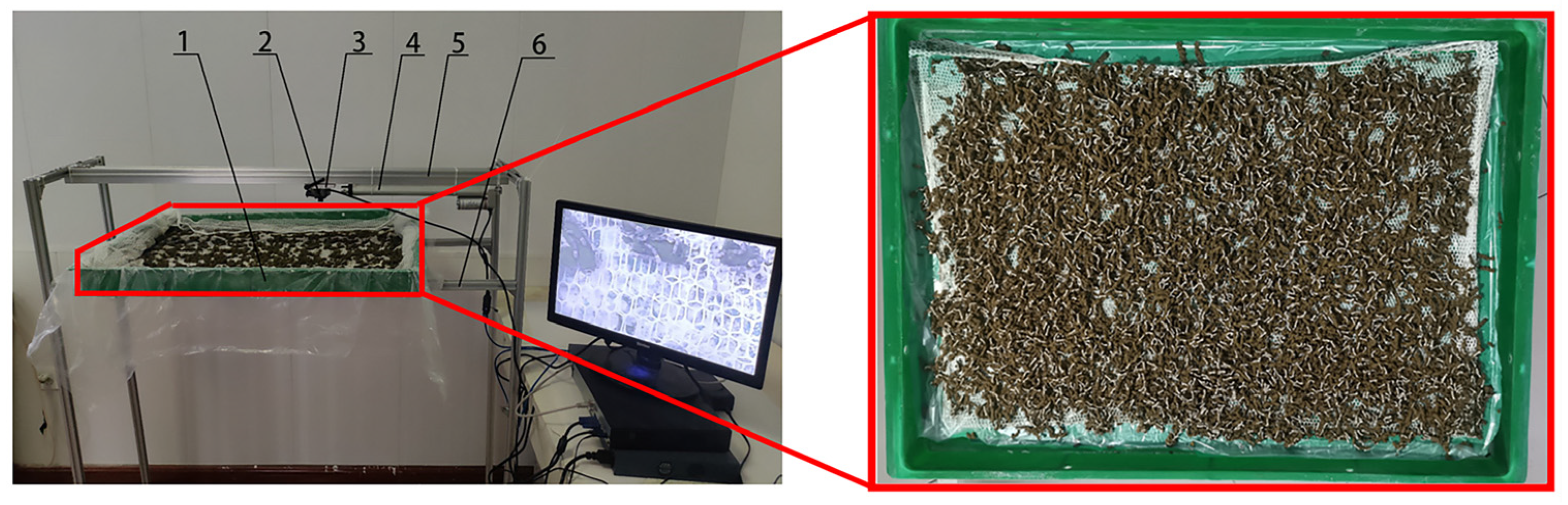 Agriculture 15 01524 g001