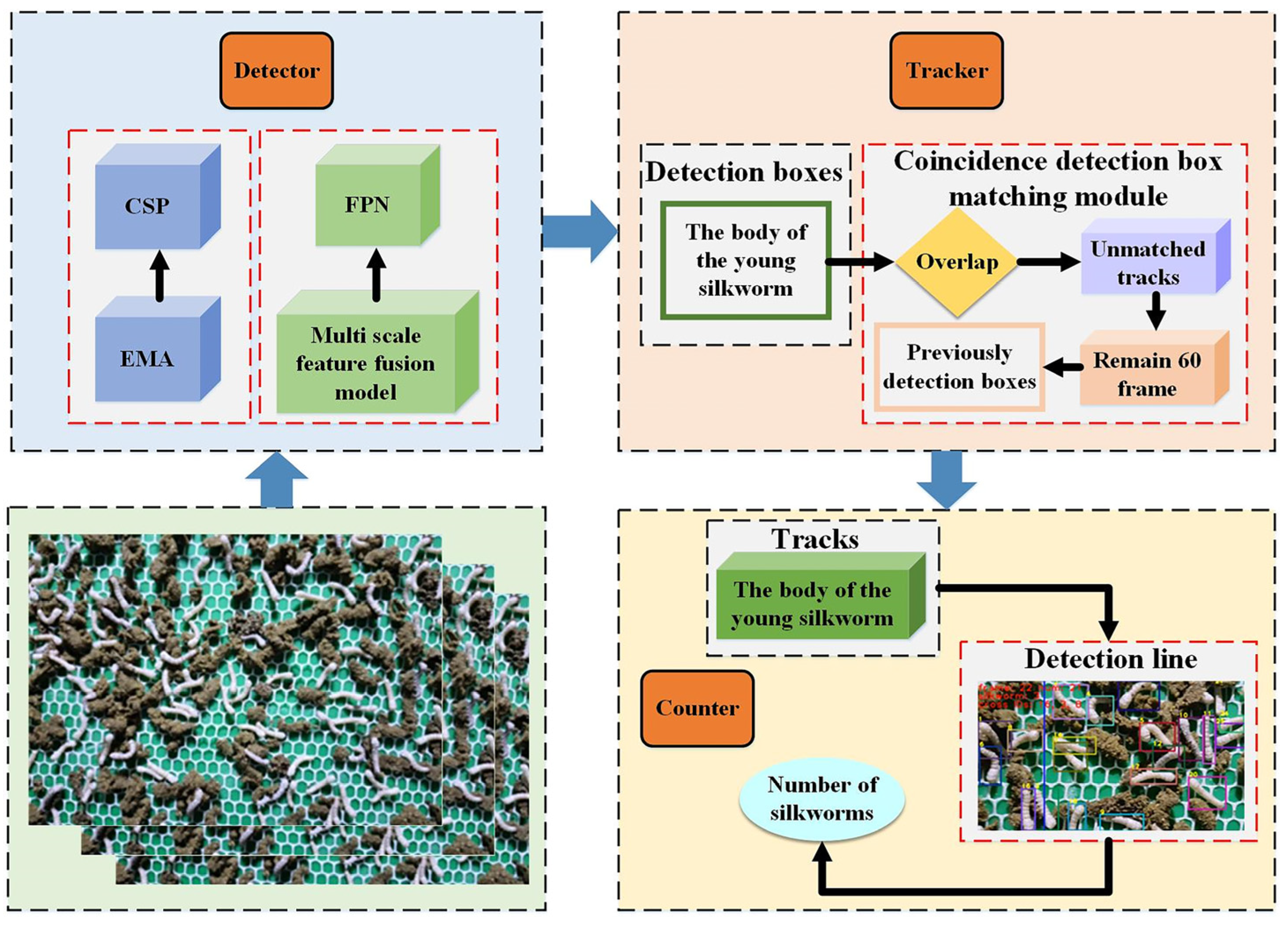 Agriculture 15 01524 g003