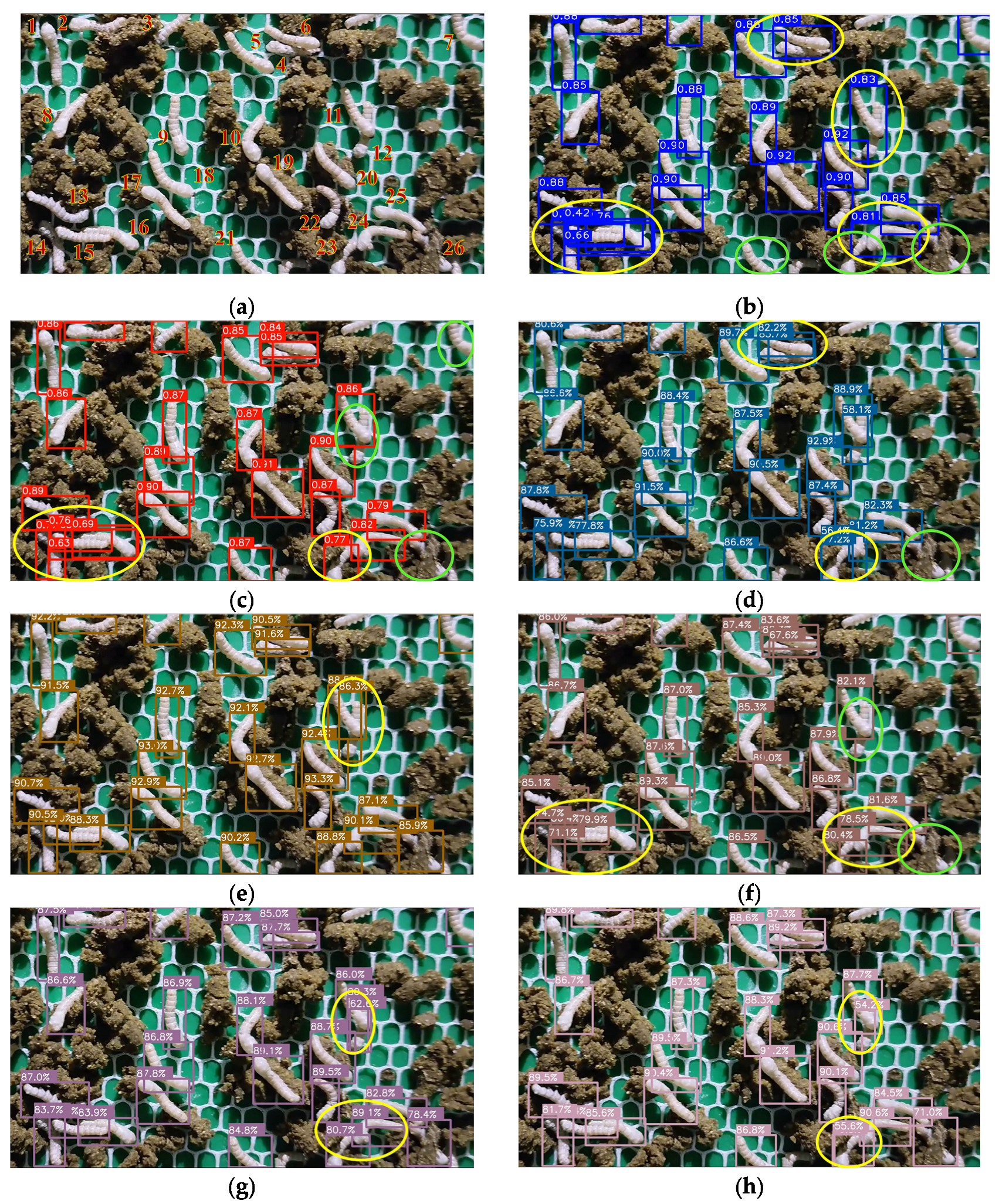 Agriculture 15 01524 g010