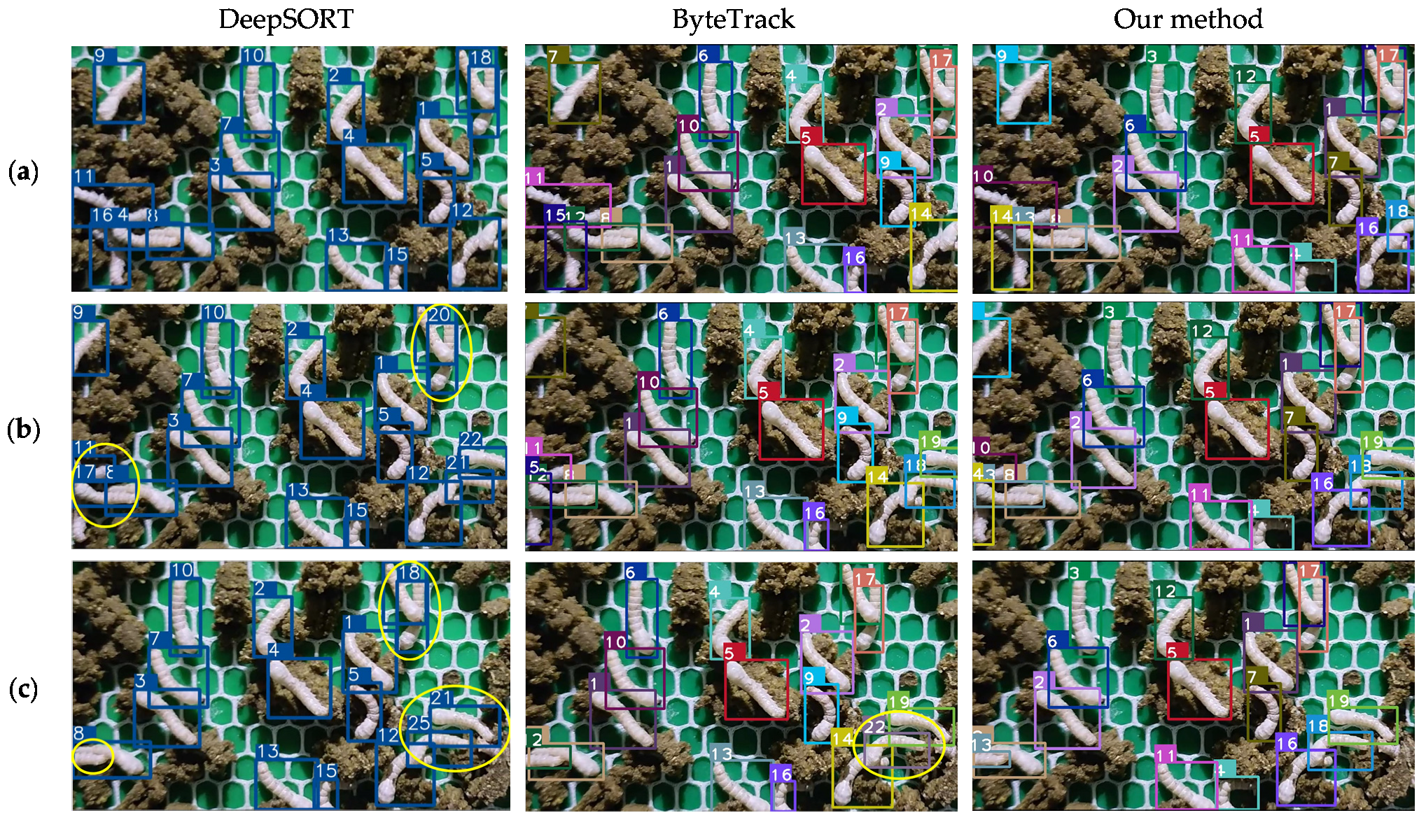 Agriculture 15 01524 g011