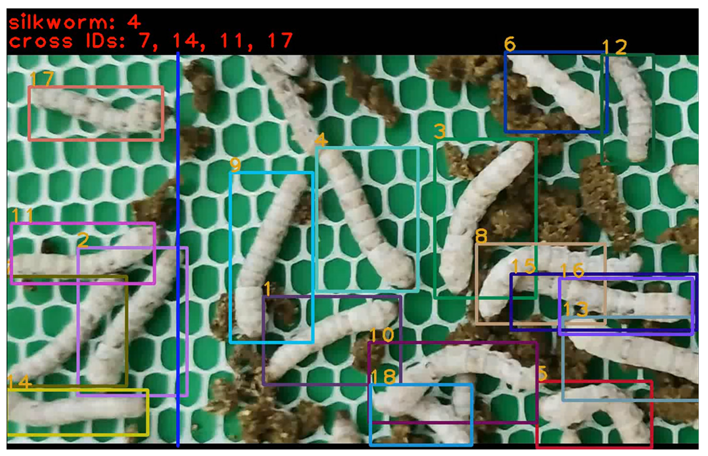 Agriculture 15 01524 g012