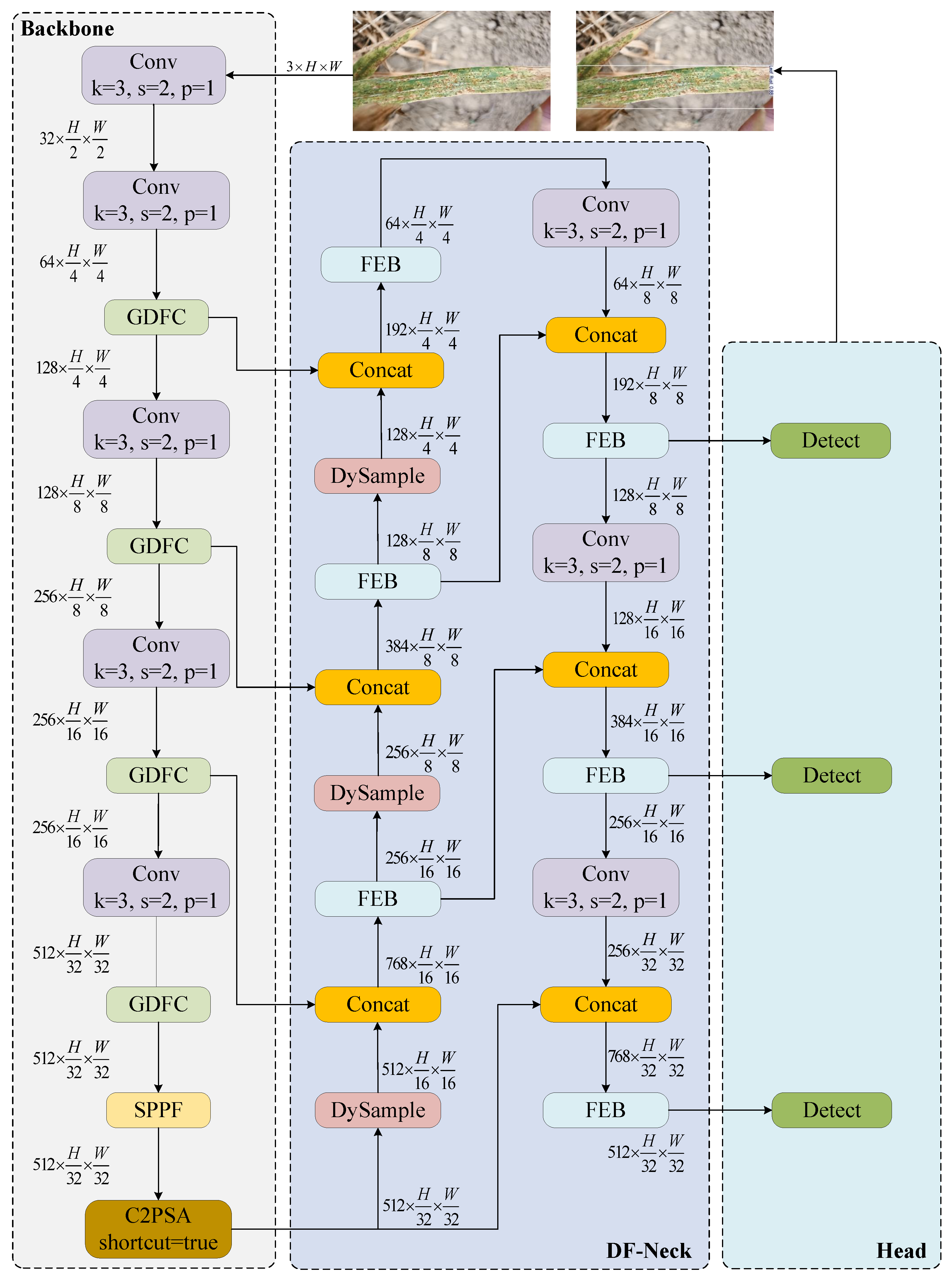 Agriculture 15 01526 g004