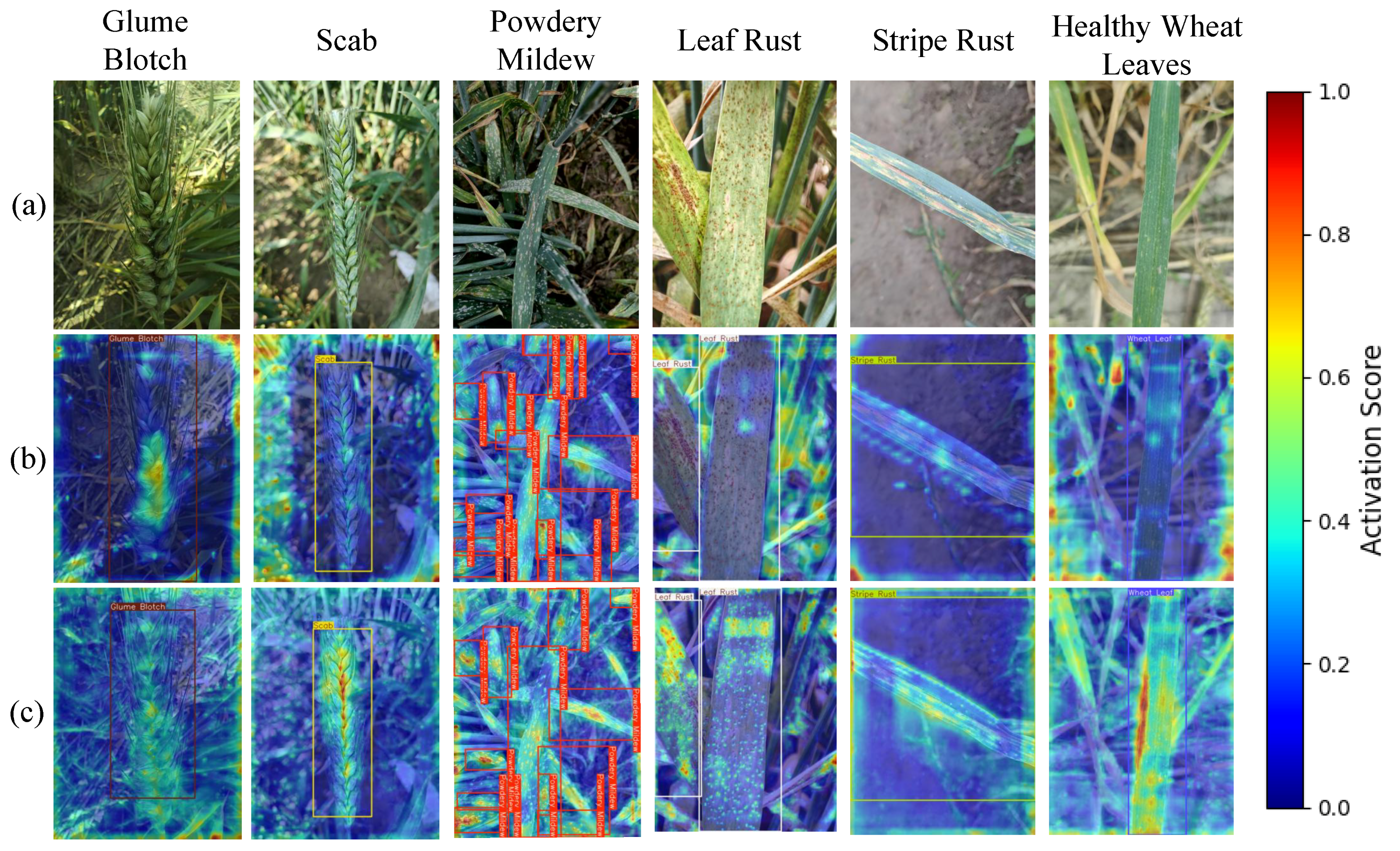 Agriculture 15 01526 g014