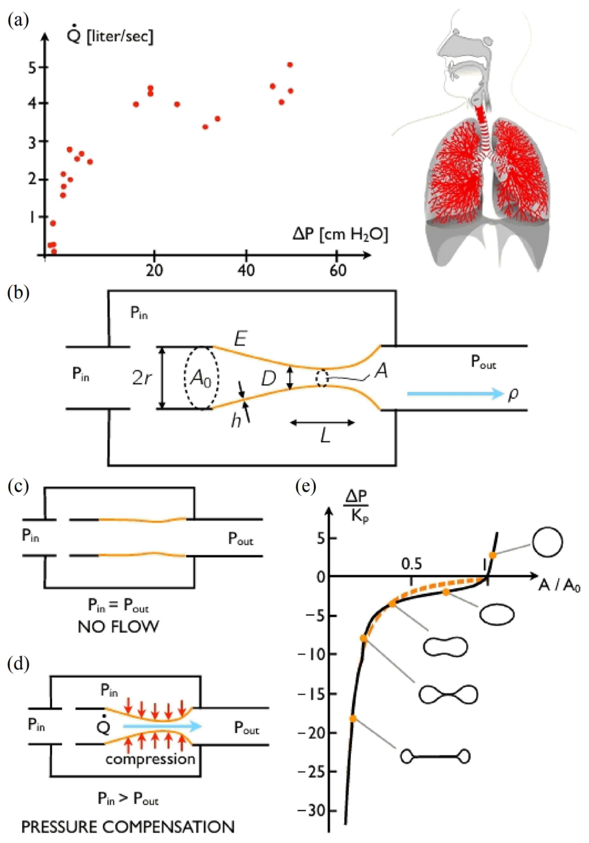 Agriculture 15 01528 g005