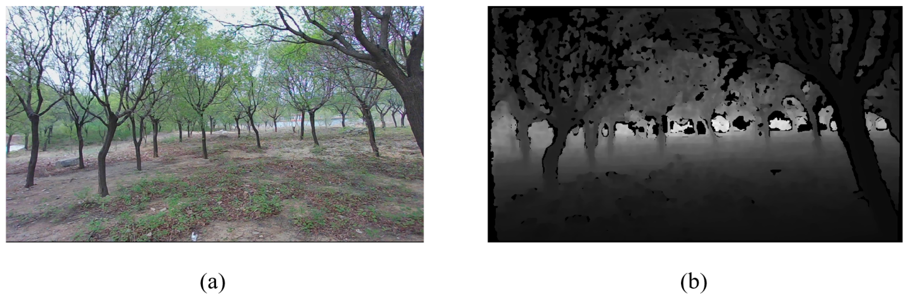 Agriculture 15 01529 g003