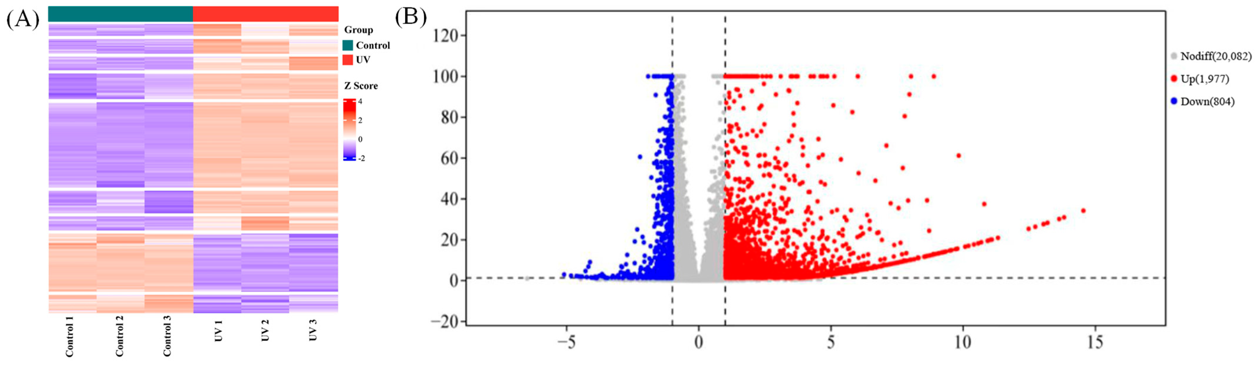 Agriculture 15 01535 g004