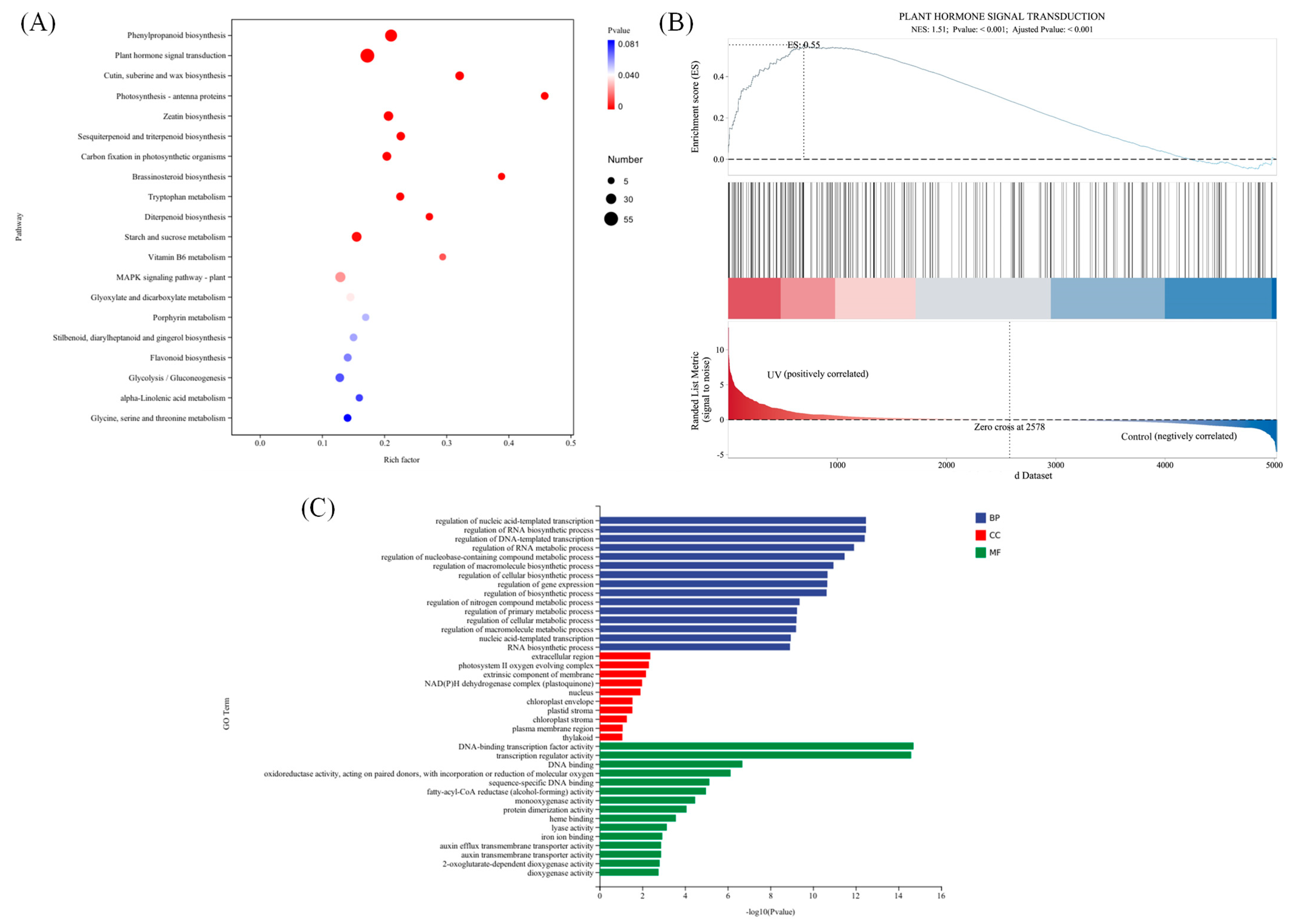 Agriculture 15 01535 g005