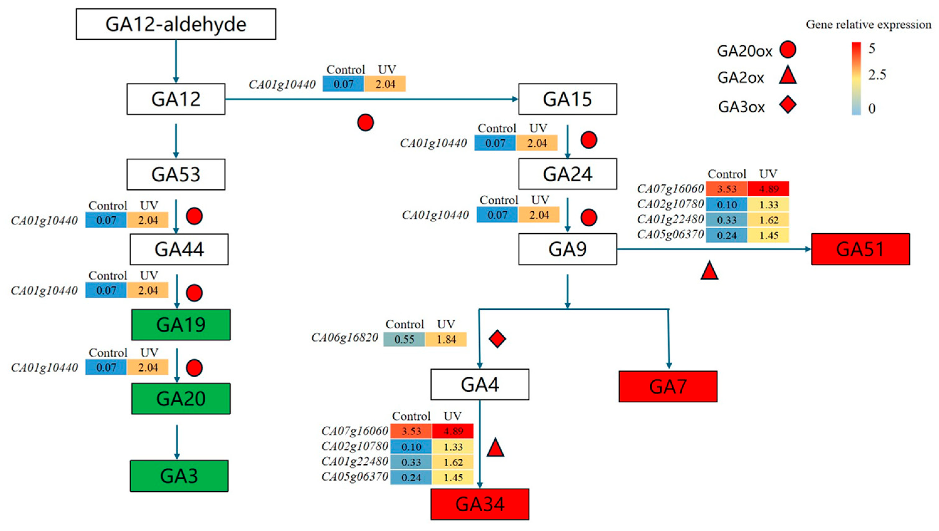 Agriculture 15 01535 g006