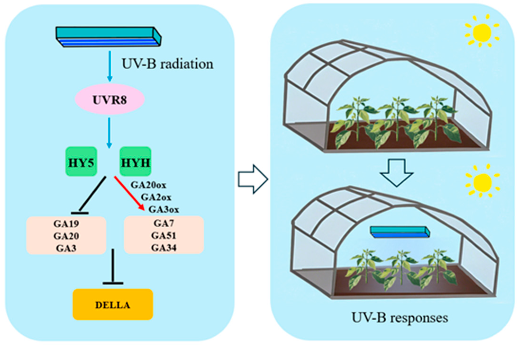 Agriculture 15 01535 g009