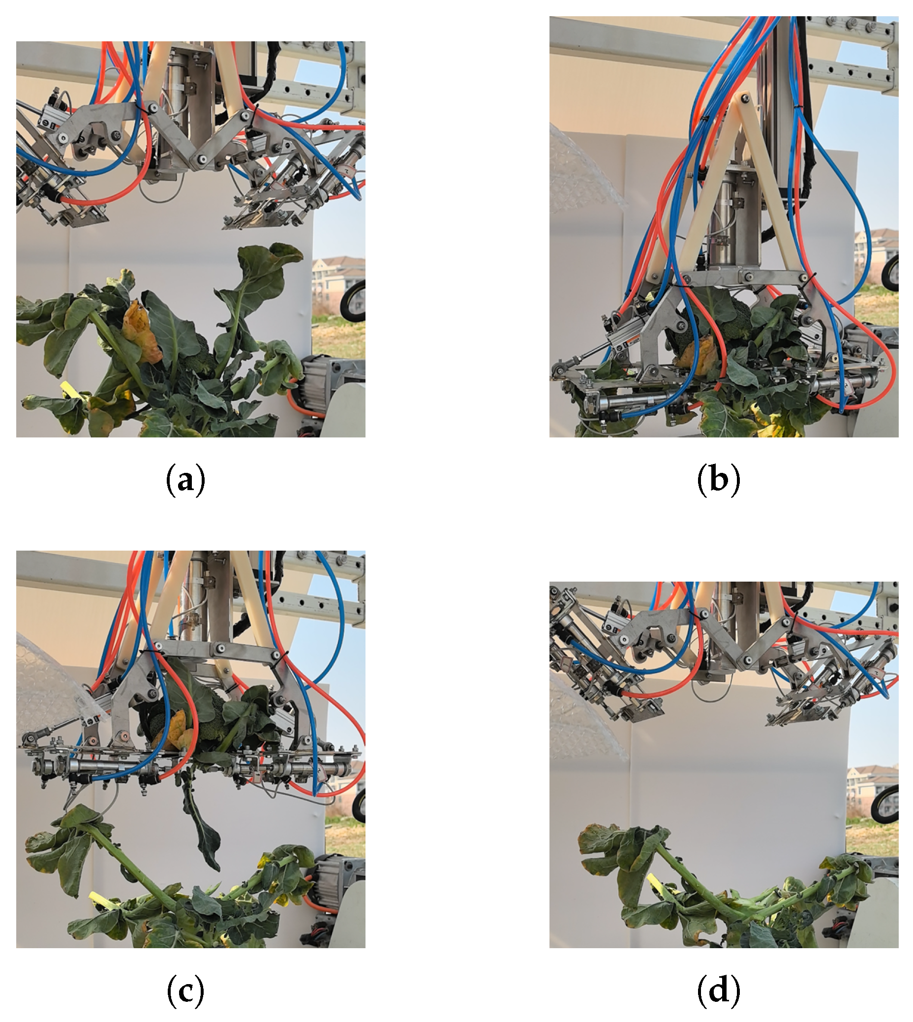 Agriculture 15 01537 g012