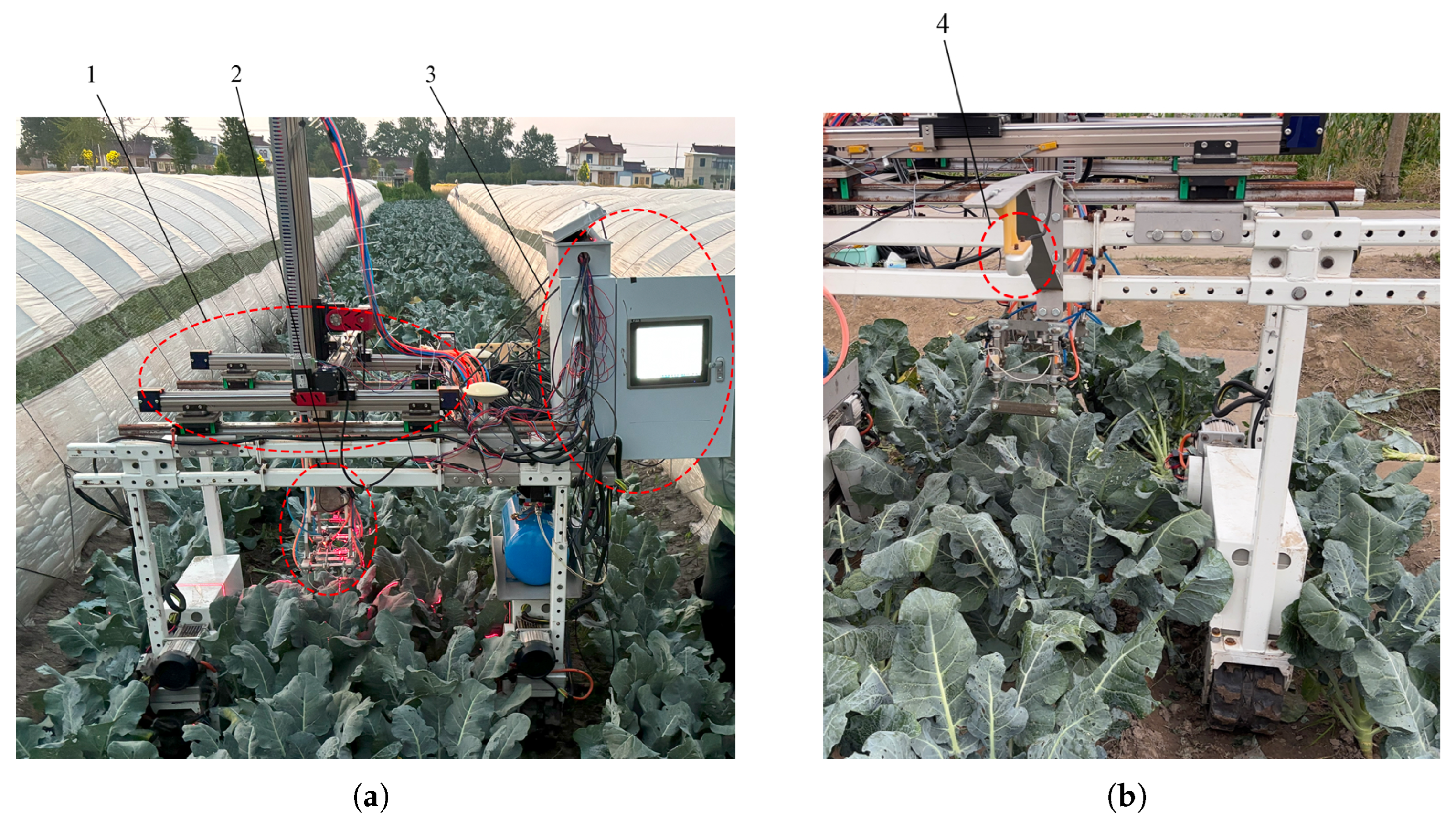 Agriculture 15 01537 g014