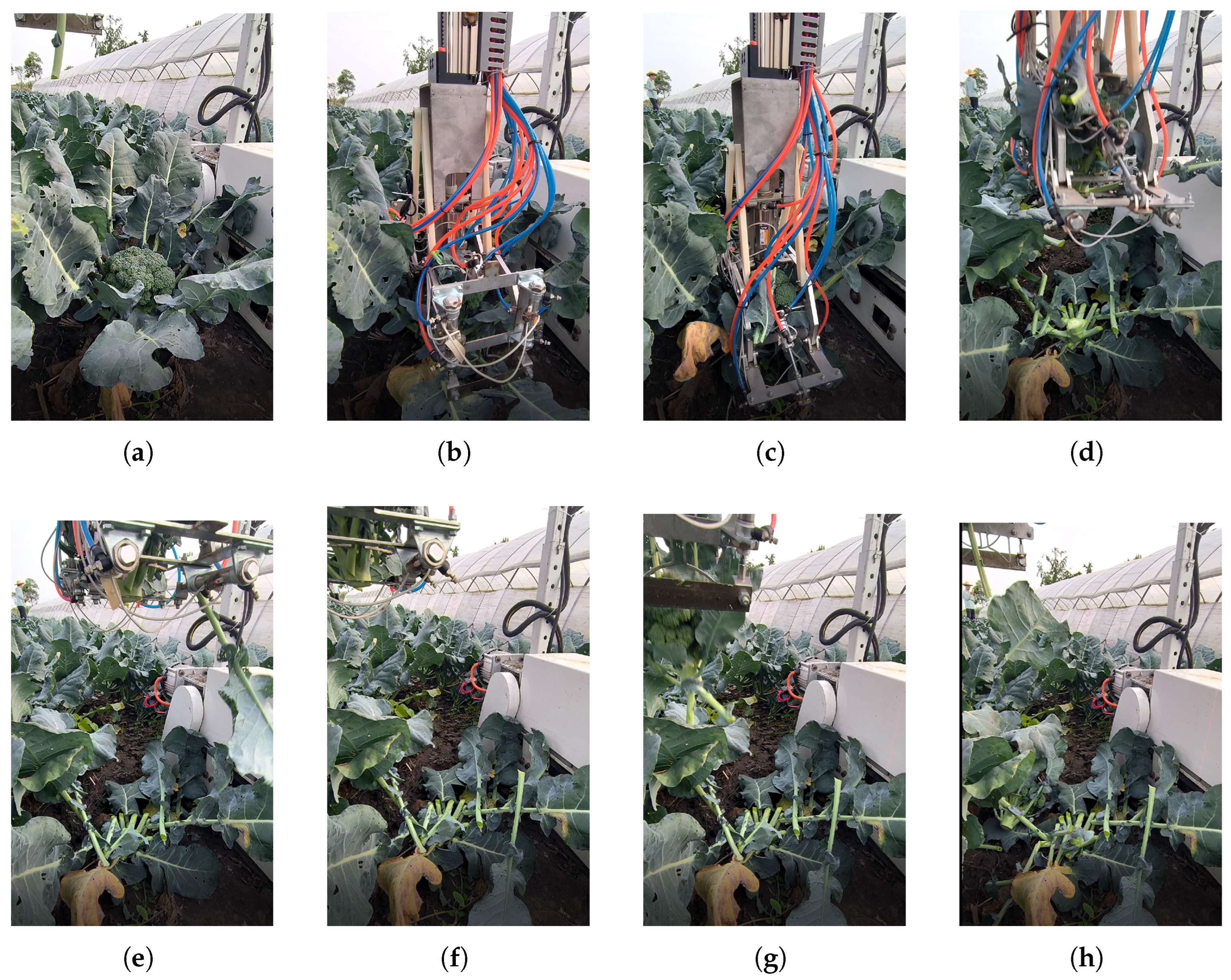 Agriculture 15 01537 g016