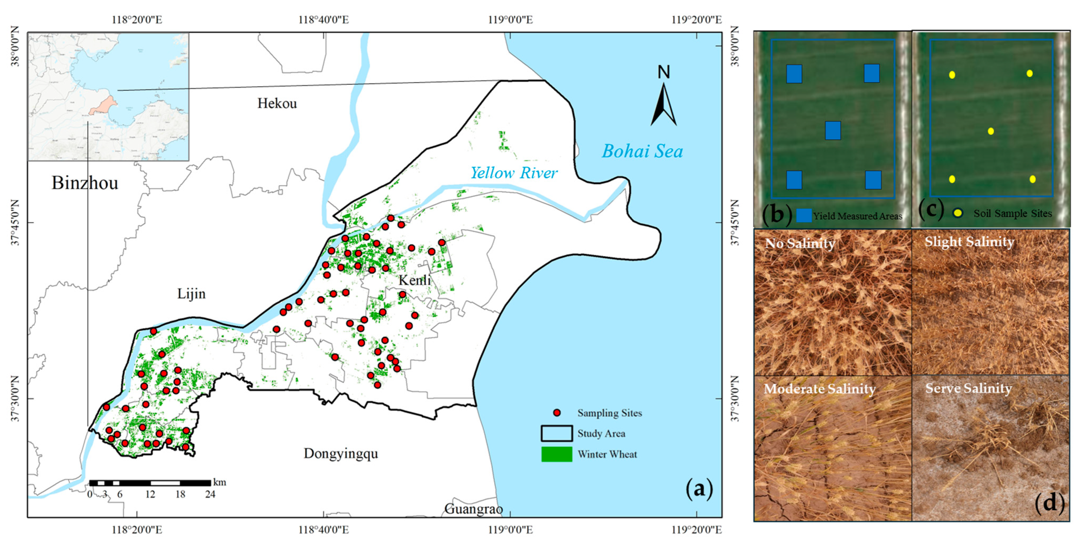Agriculture 15 01544 g001
