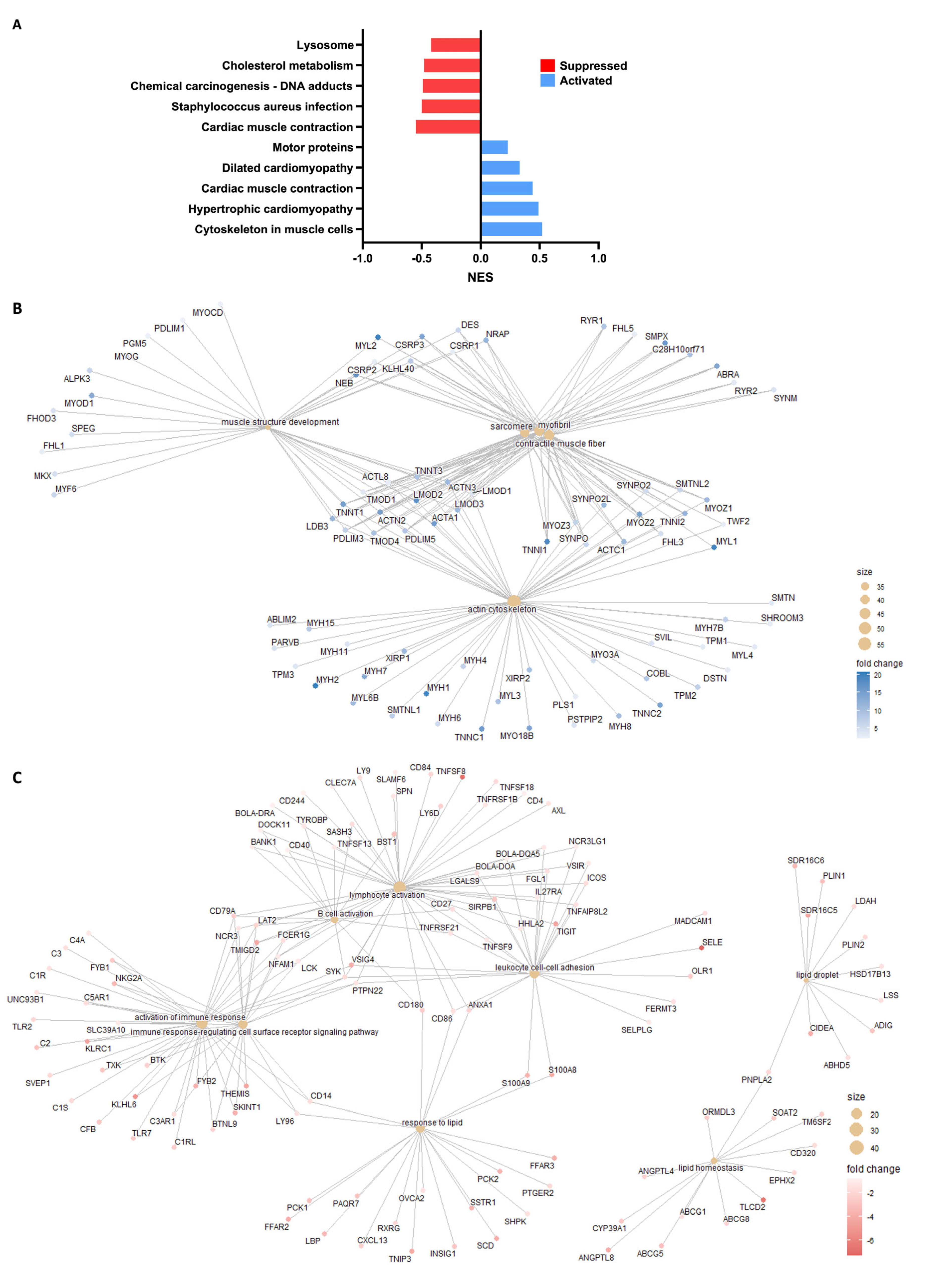 Agriculture 15 01545 g002