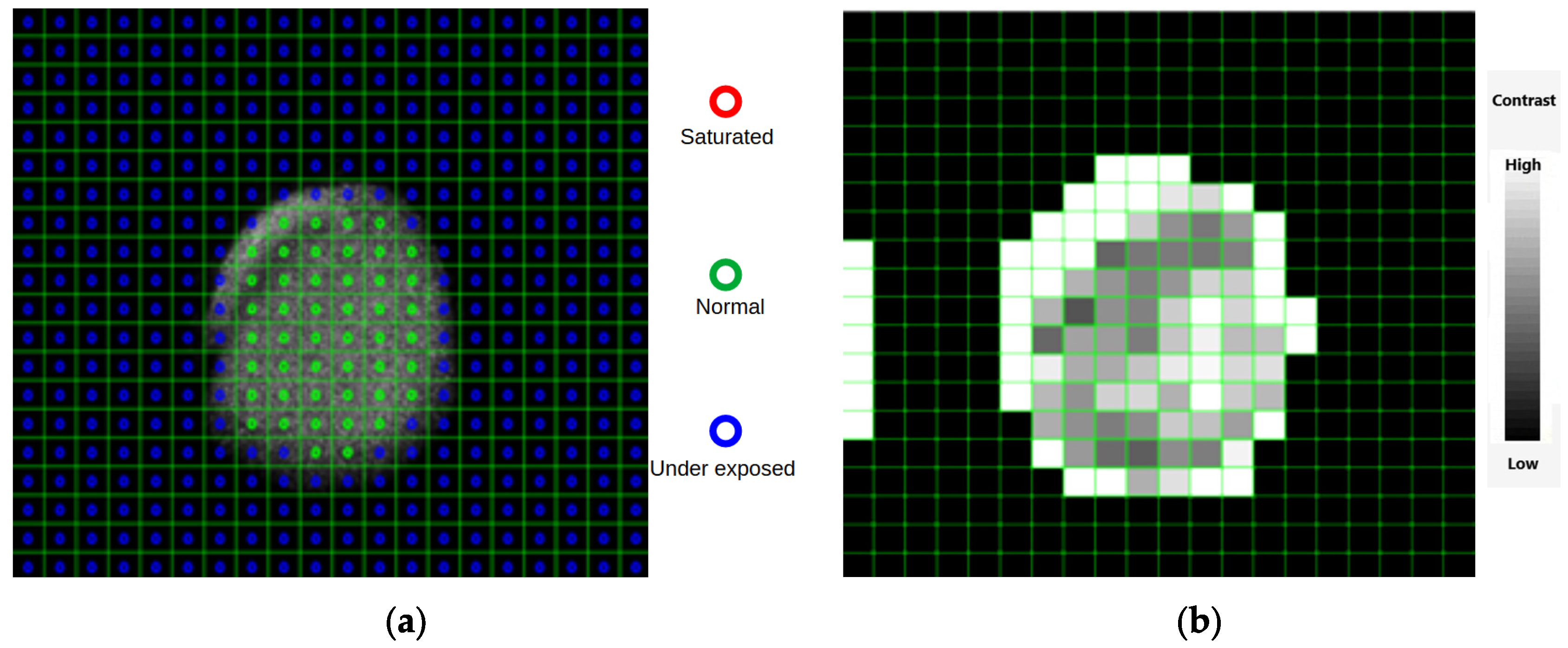 Agriculture 15 01553 g005